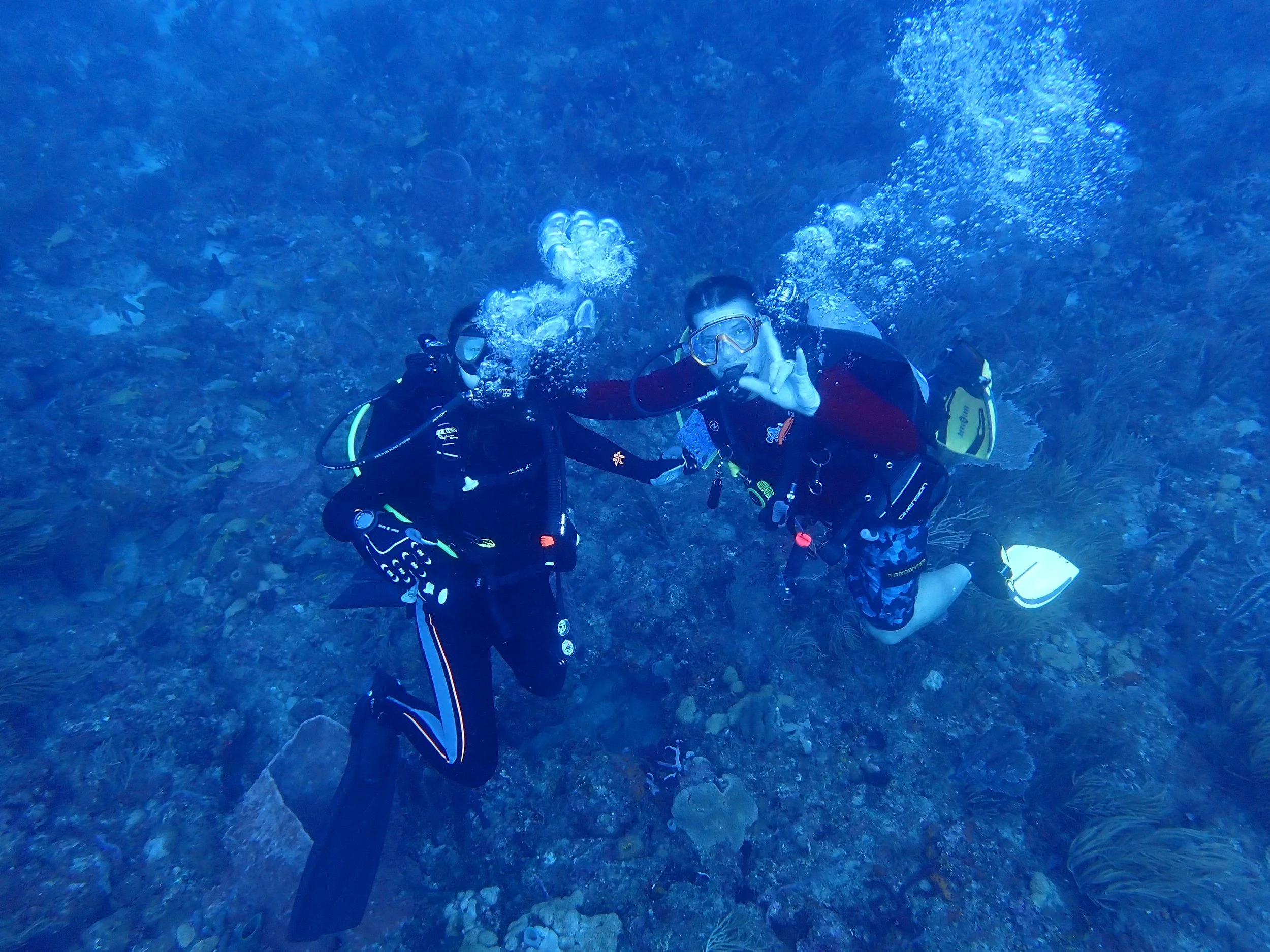 INTERNATIONAL TRAVEL