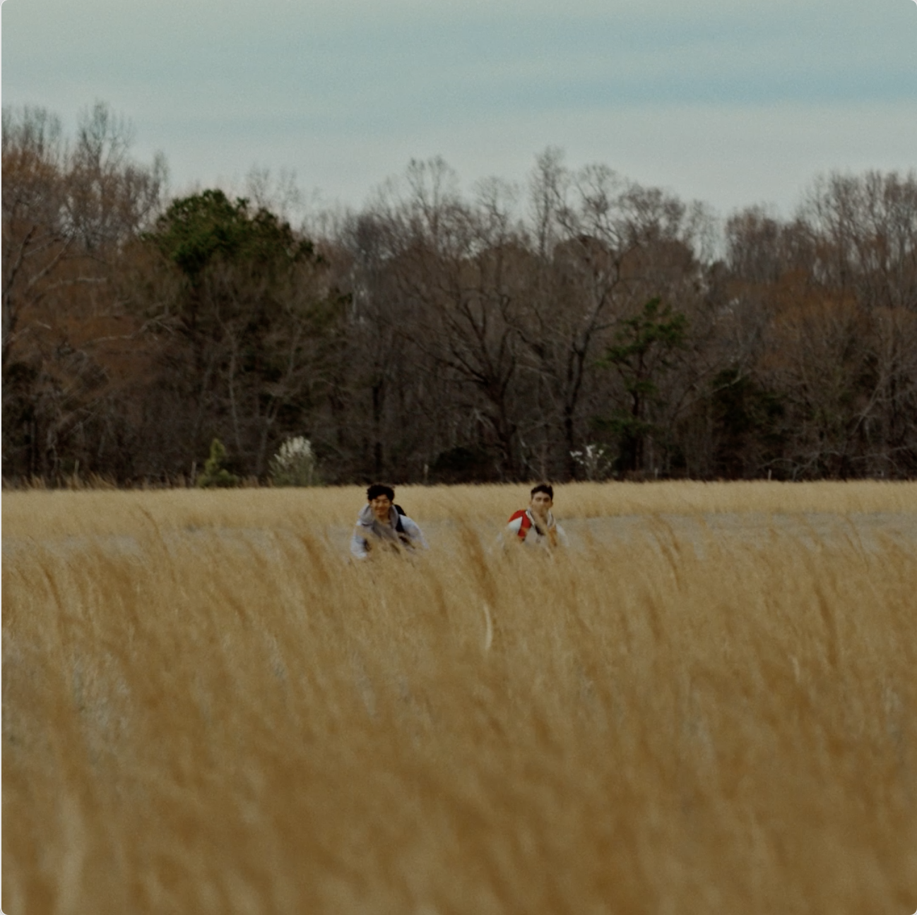 SHOW SHOW || Runner :30