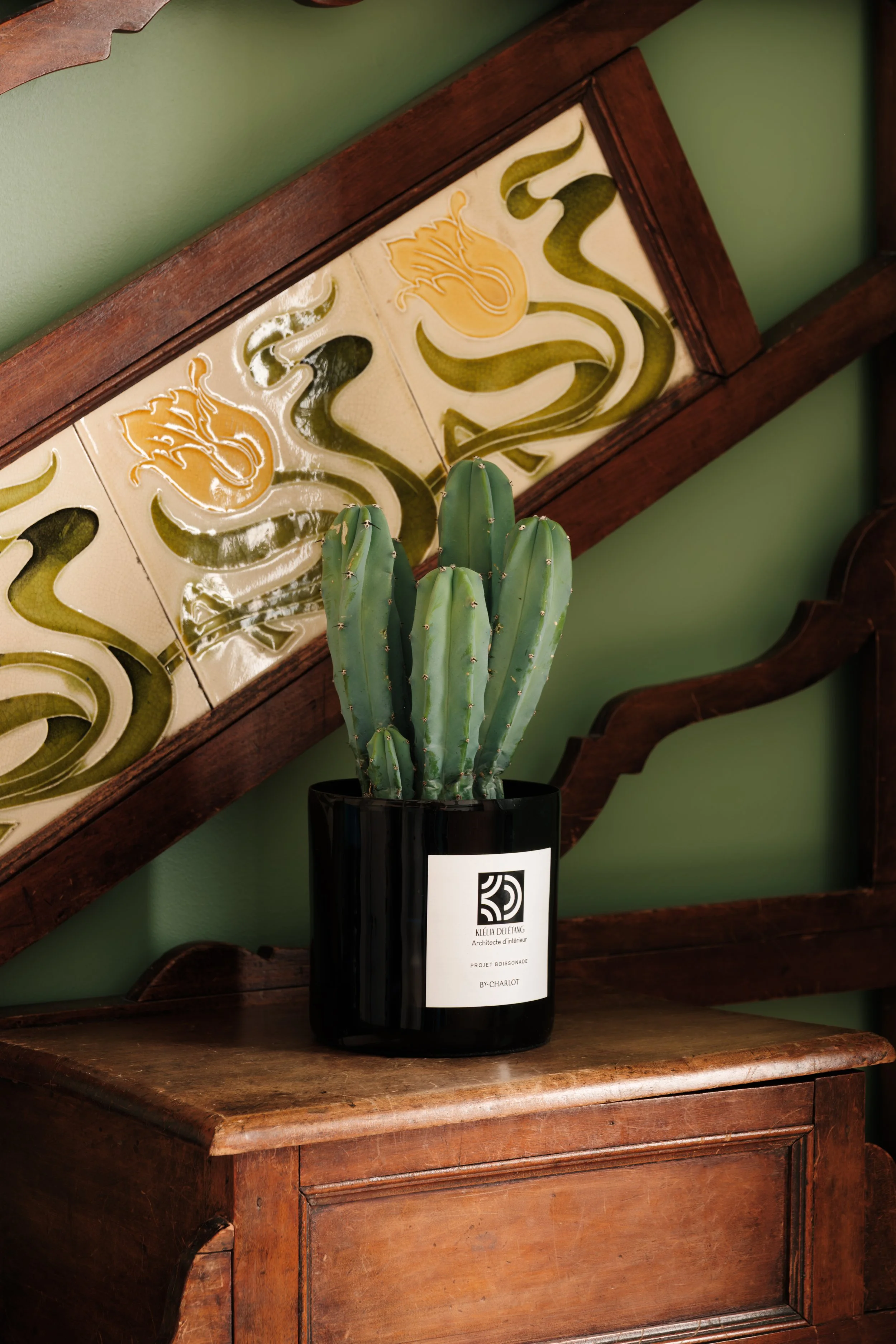 Plante personnalisée cactus, cadeau client à la fin du chantier.