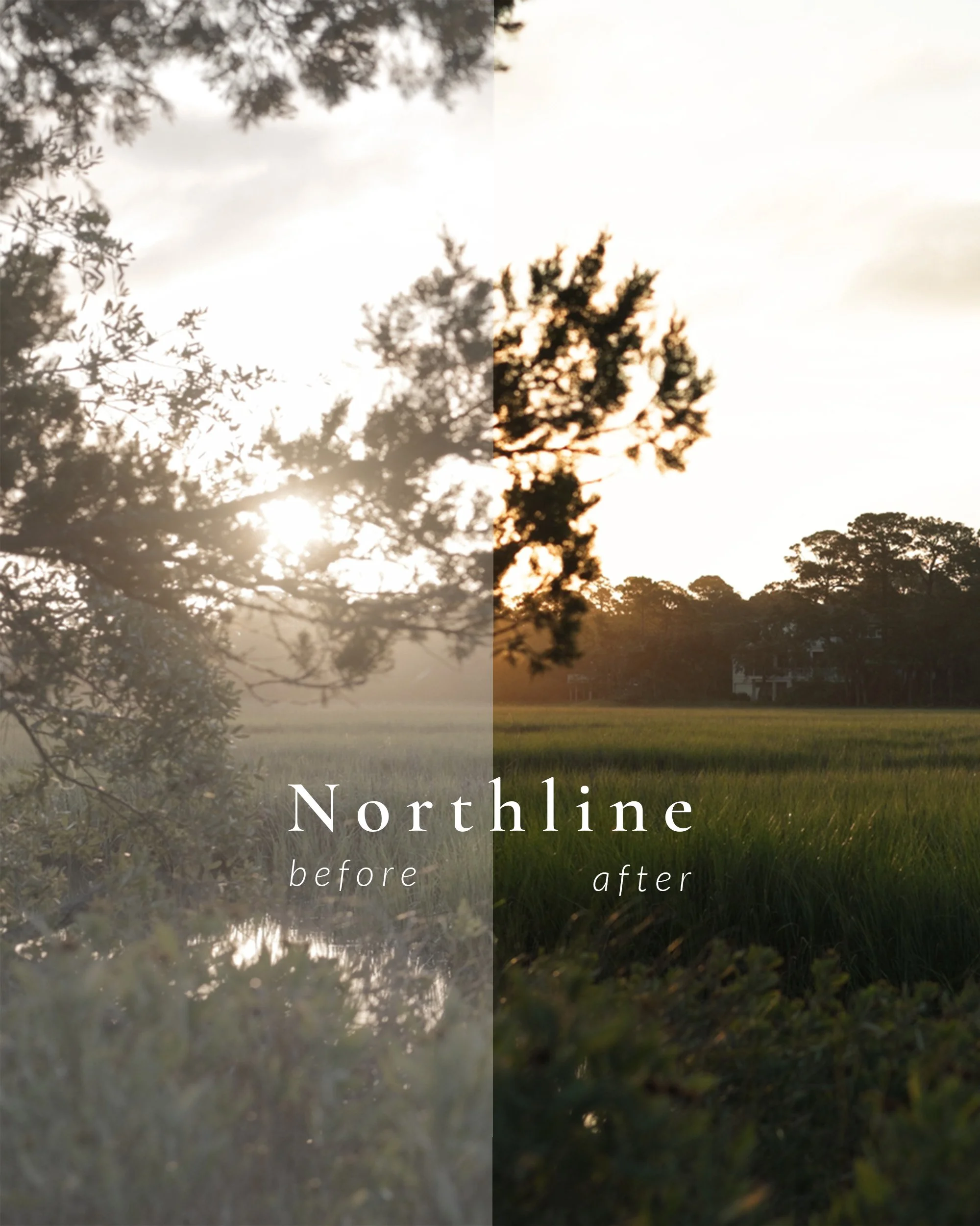 Marsh Sunrise - Northline.jpg