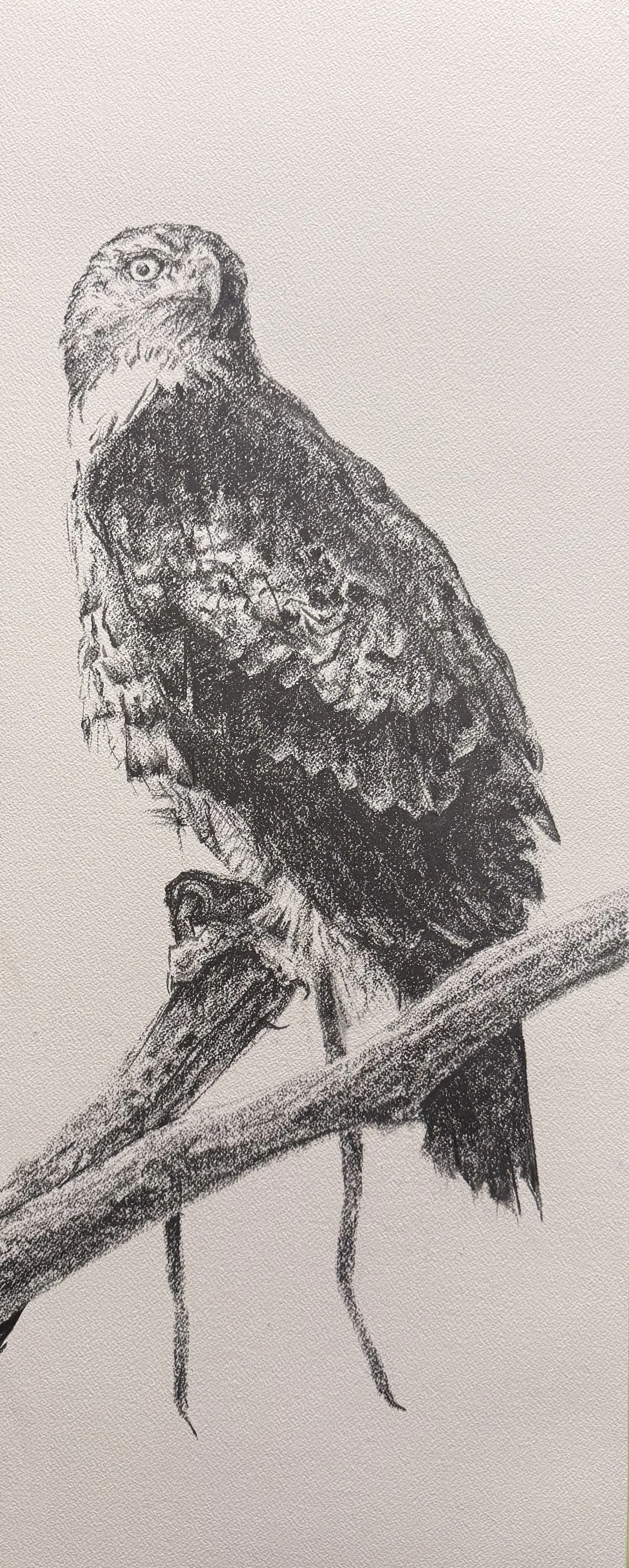 “The Wisdom of Waiting”
13x32”
Graphite on paper