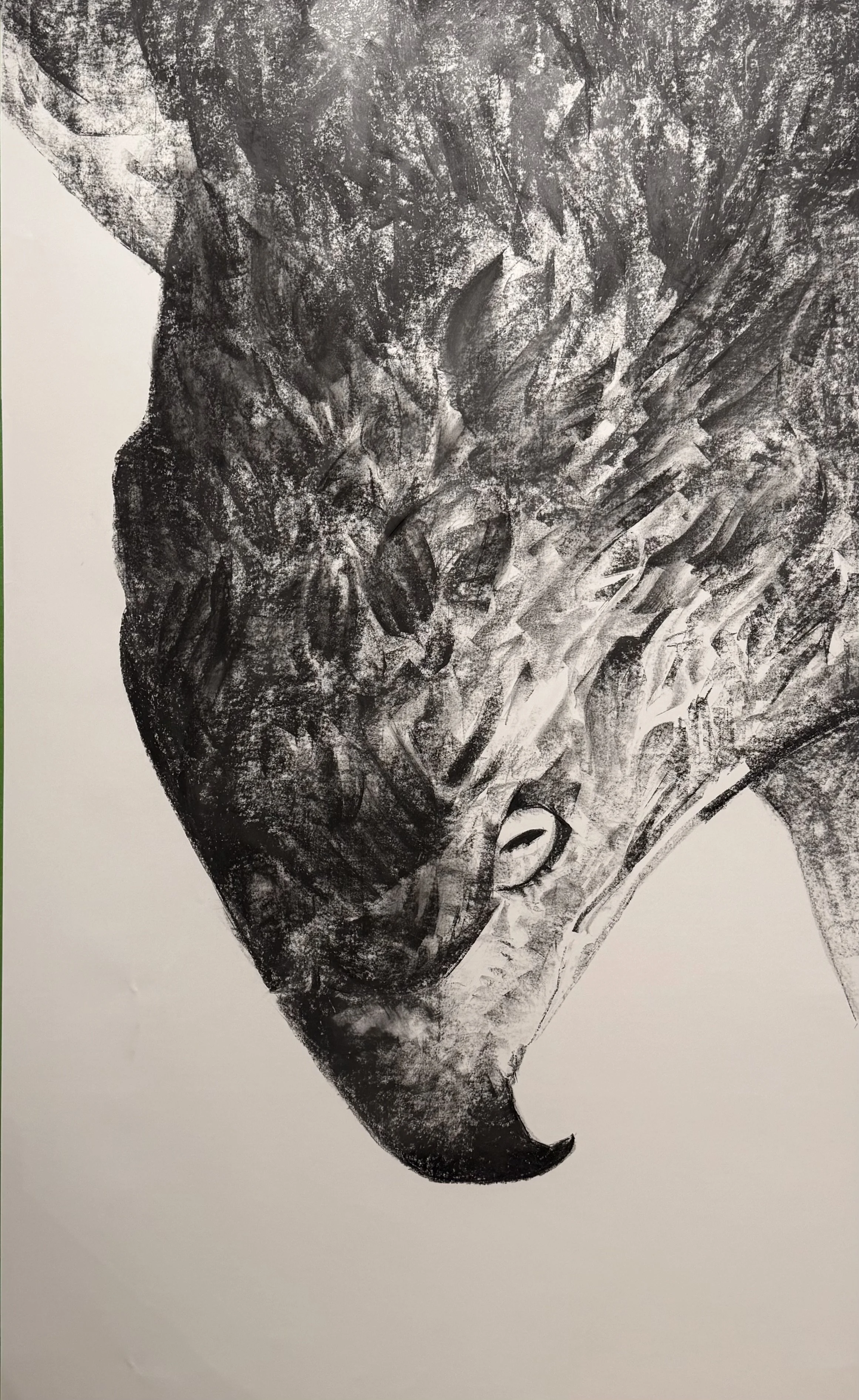 “Hunger is Not a Game”
56 x 96 inches
Graphite on paper