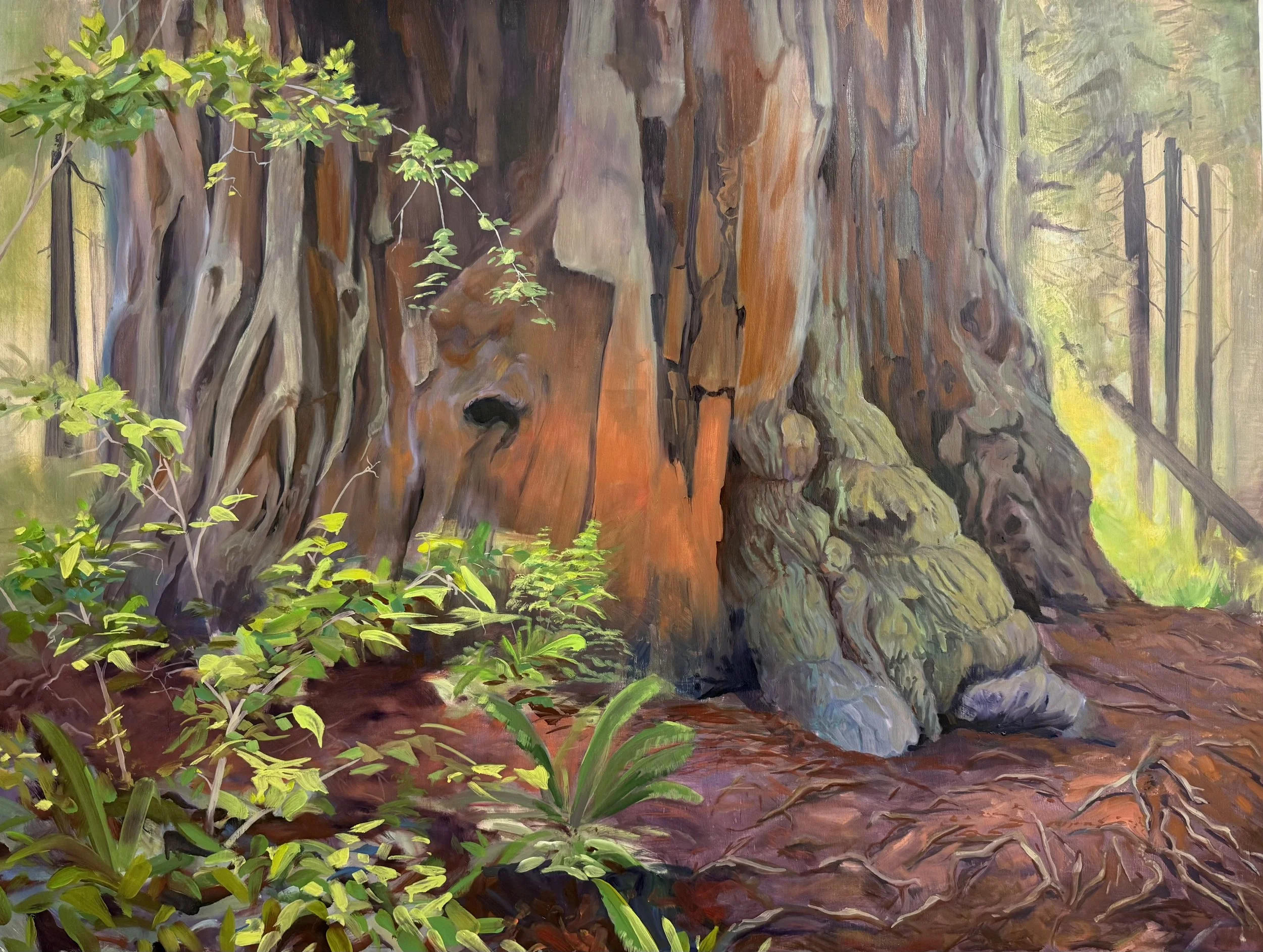 “Unwrapping the Stillness”
Oil paint on panel
48 x 36 inches