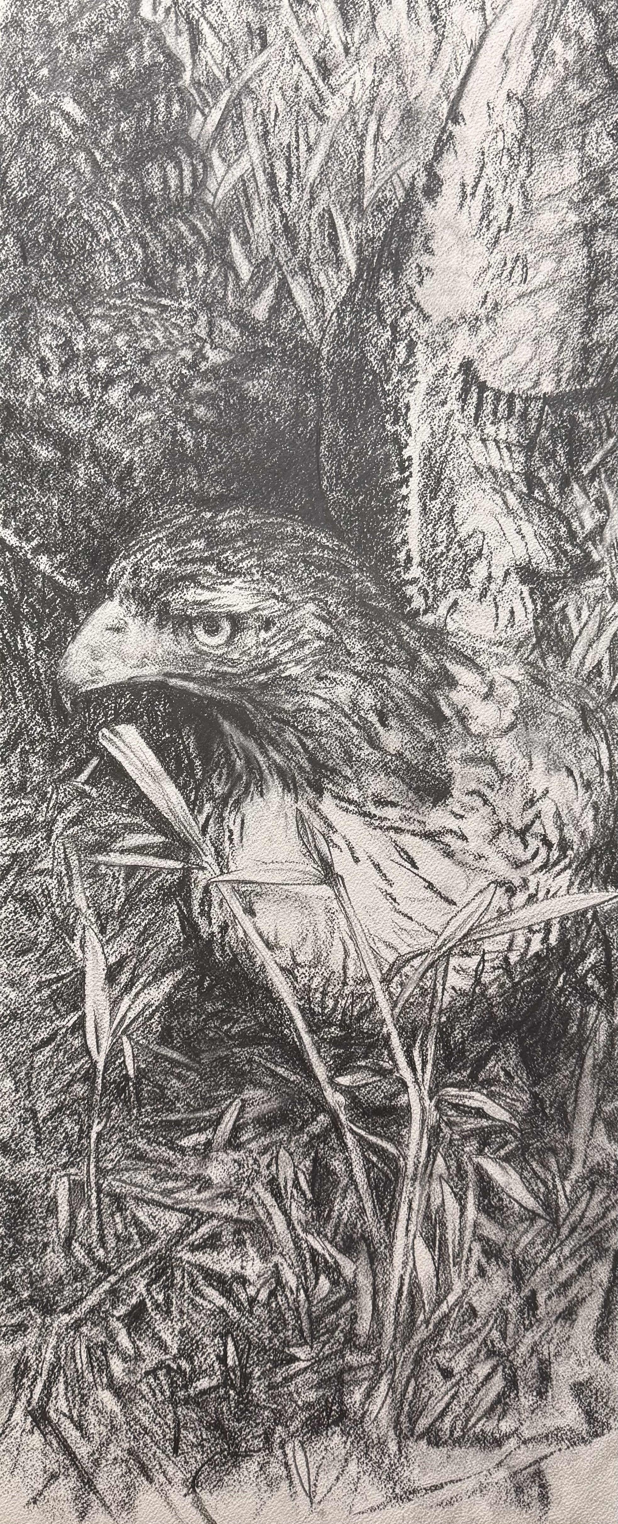 “First Nature”
13x32”
Graphite on paper