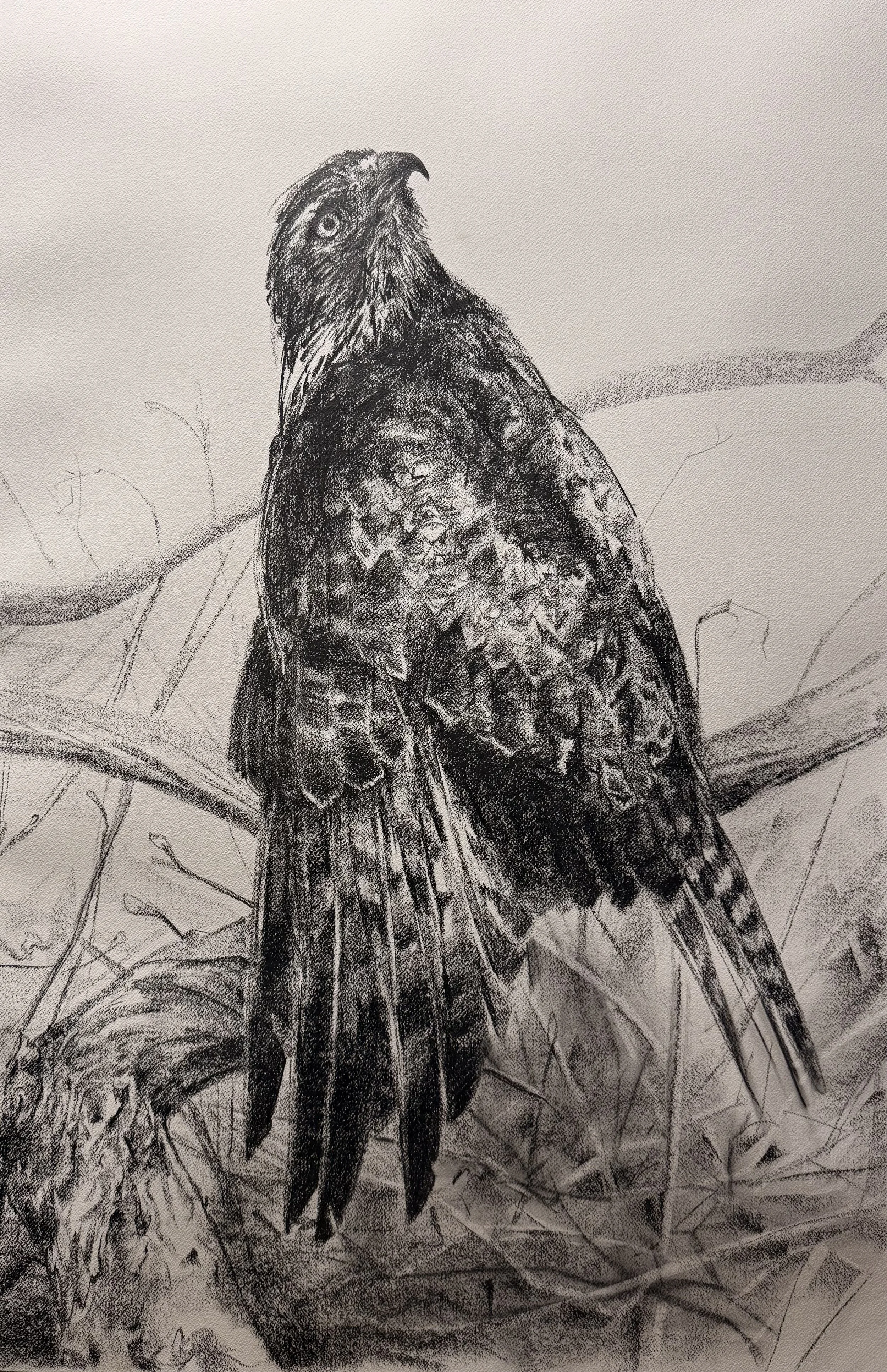“As Above, So Below”
28.75x44.5”
Graphite on paper