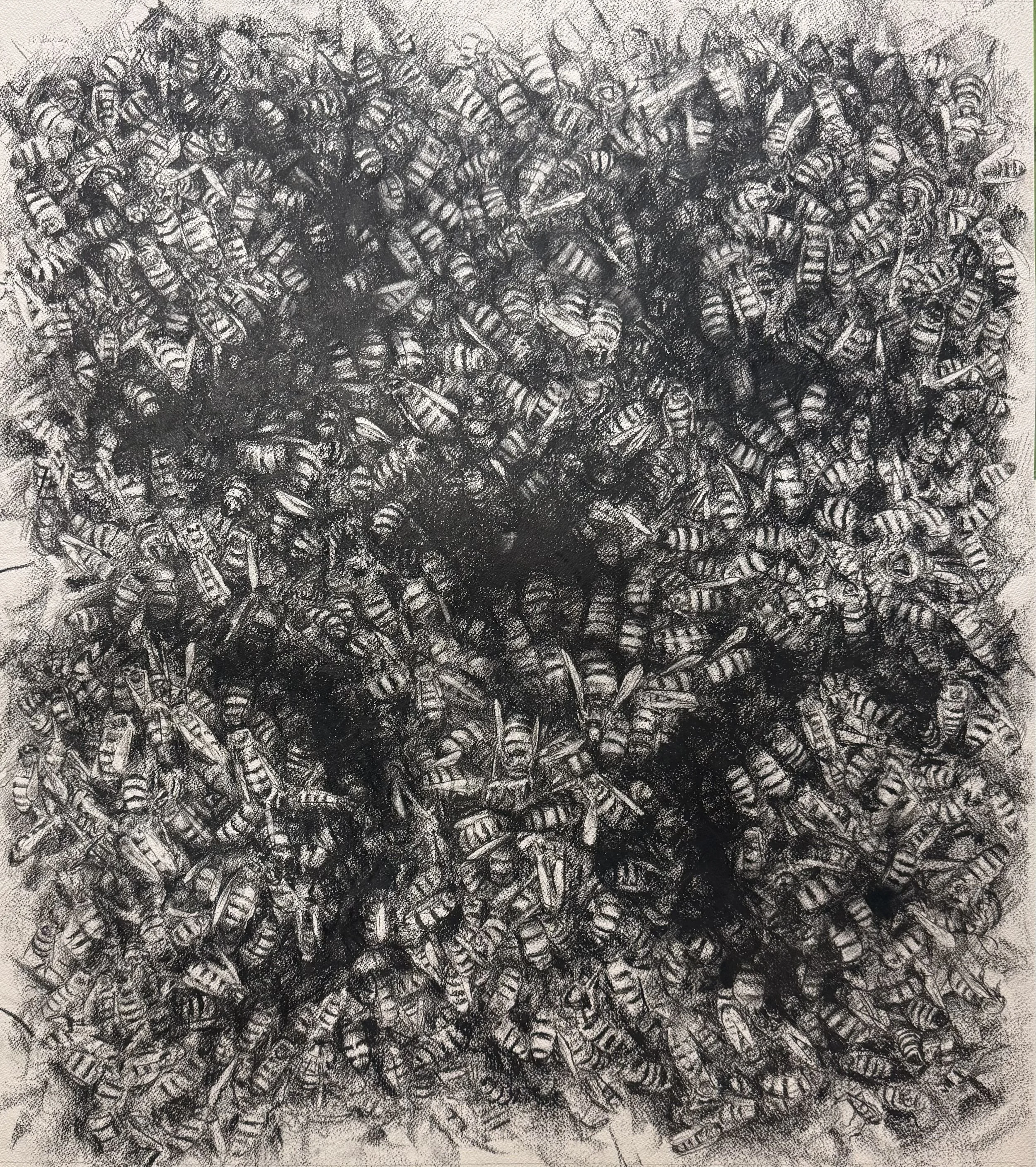 “200 hz” 
32 3/8” x 28 3/4” 
Graphite on paper