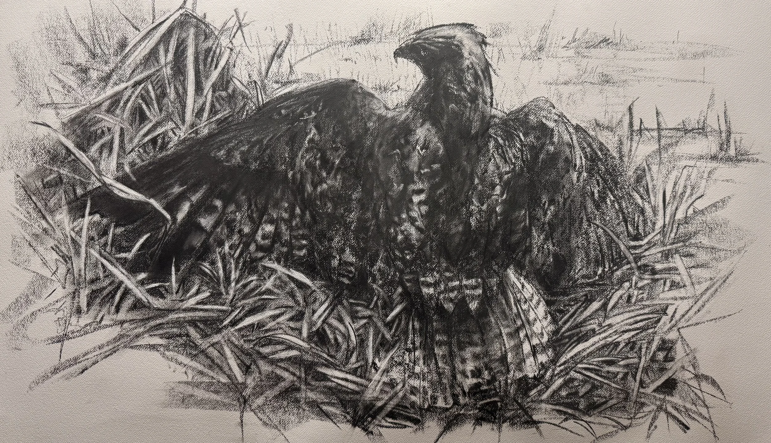 “Trust”
45x26”
Graphite on paper