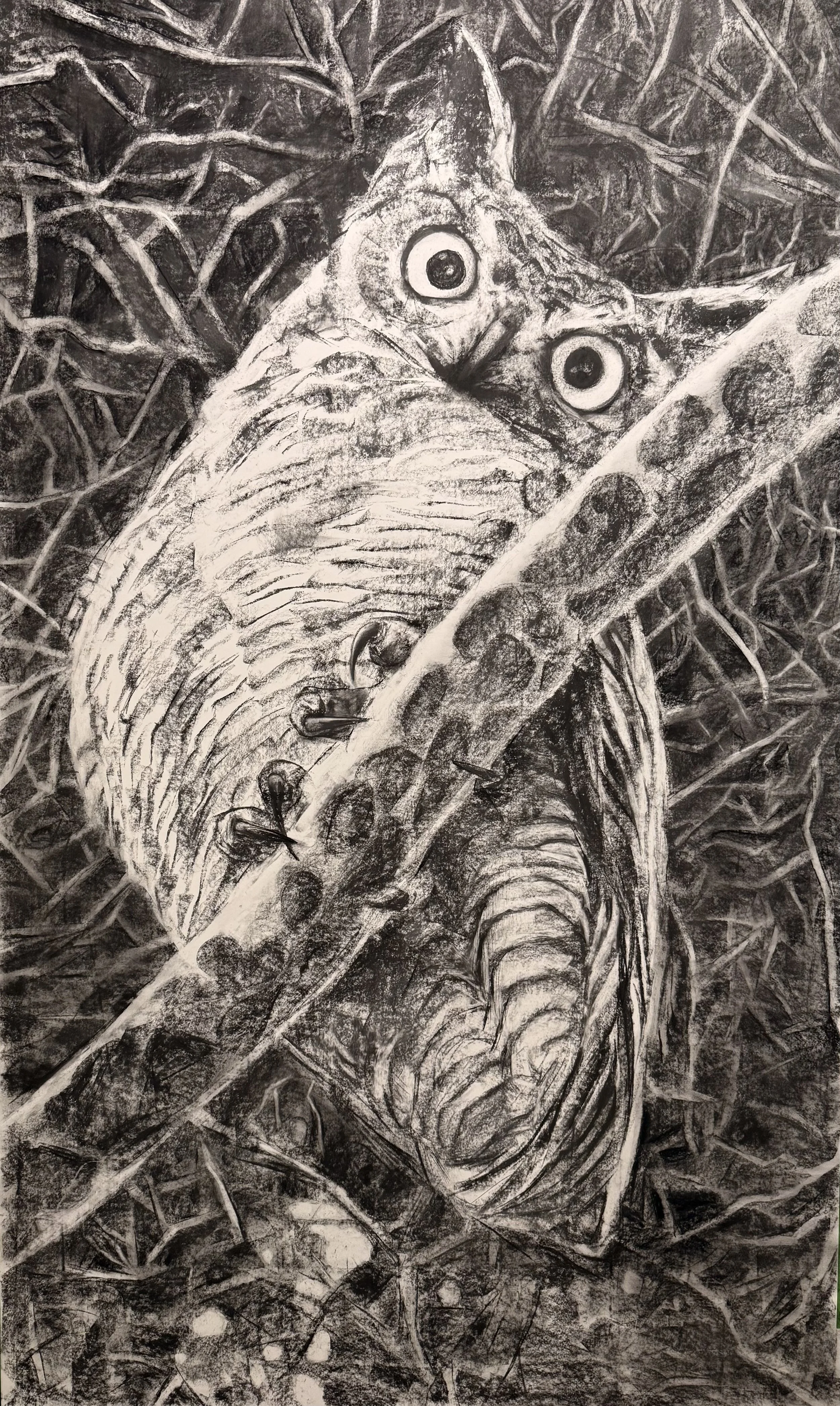 “Hello Neighbor”
60 x 96 inches
Graphite on Paper
