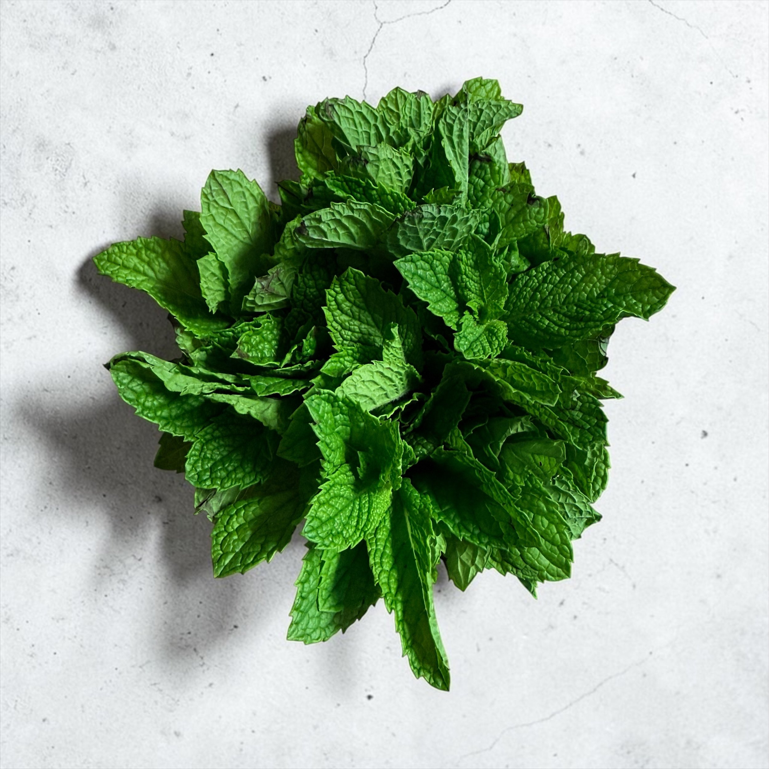 Mint Bouquet