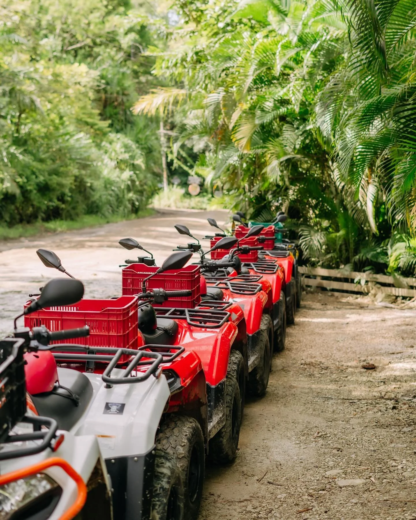 We are buzzing over here.

Planning, setting dreams into motion, manifesting, learning ~ it is all part of the unfolding and we can&rsquo;t wait to see what&rsquo;s to come.

We are getting ready to launch some epic retreat locations and dates.

Make