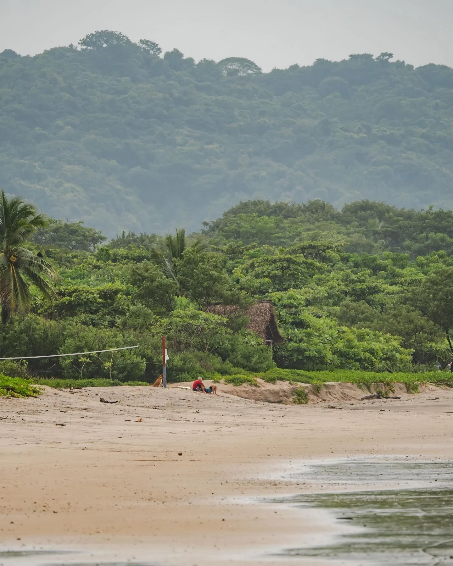 Counting down the days until we are back in our favorite place ~ where the jungle meets the sea. 

🇨🇷 🦥🌴
