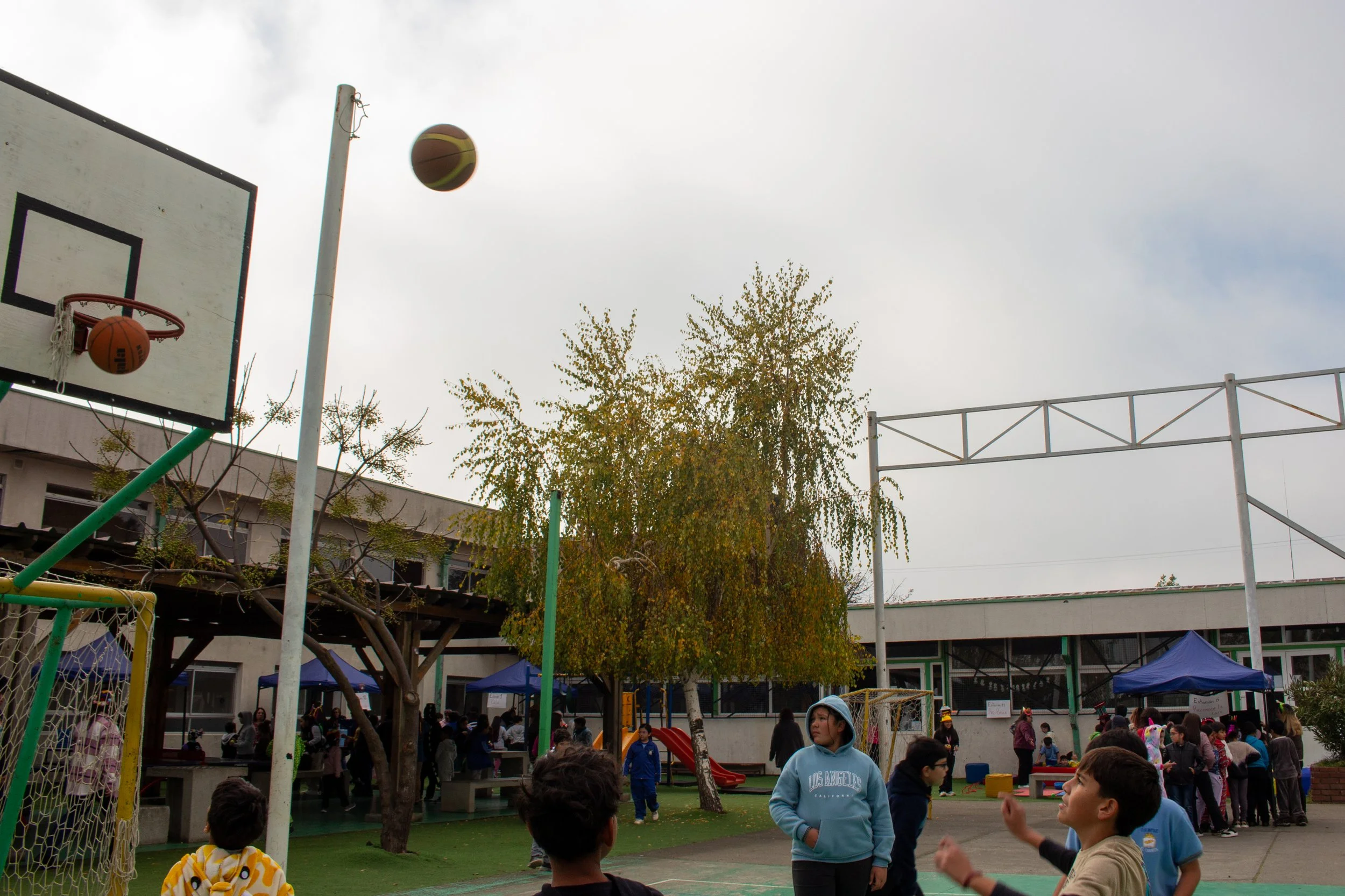IMG_8721-2.jpg