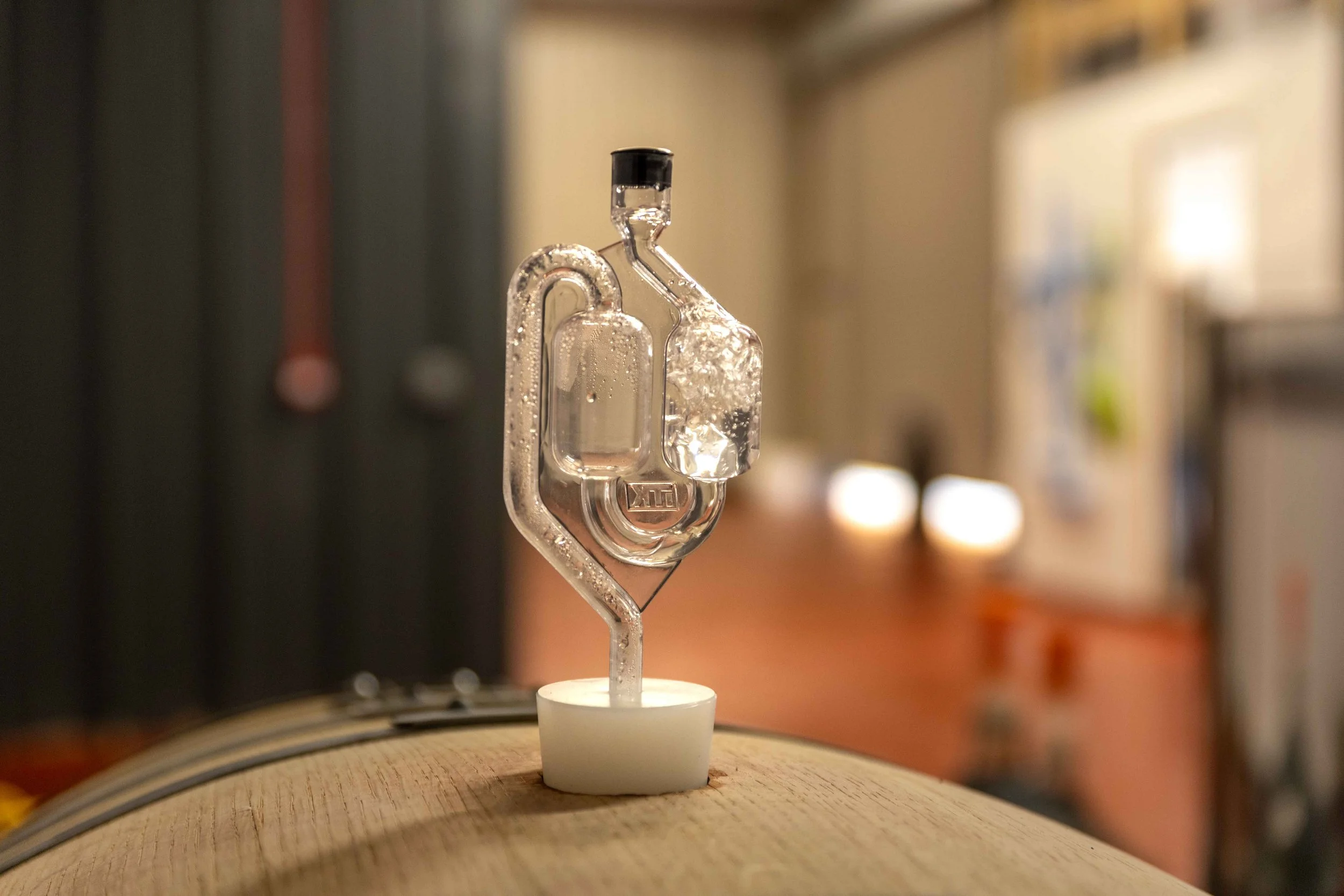 Vinescapes Gallery-41.jpg