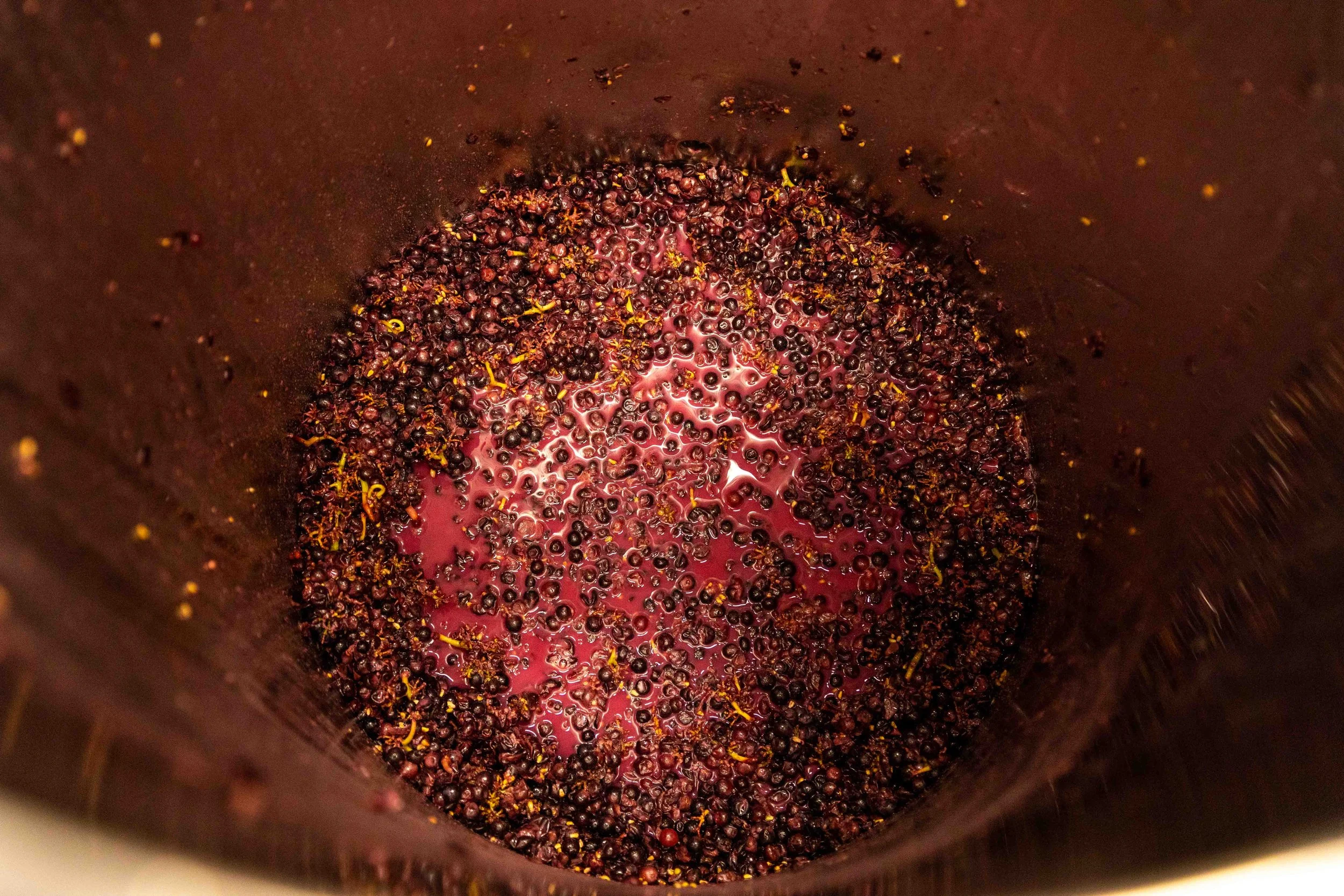 Vinescapes Gallery-40.jpg