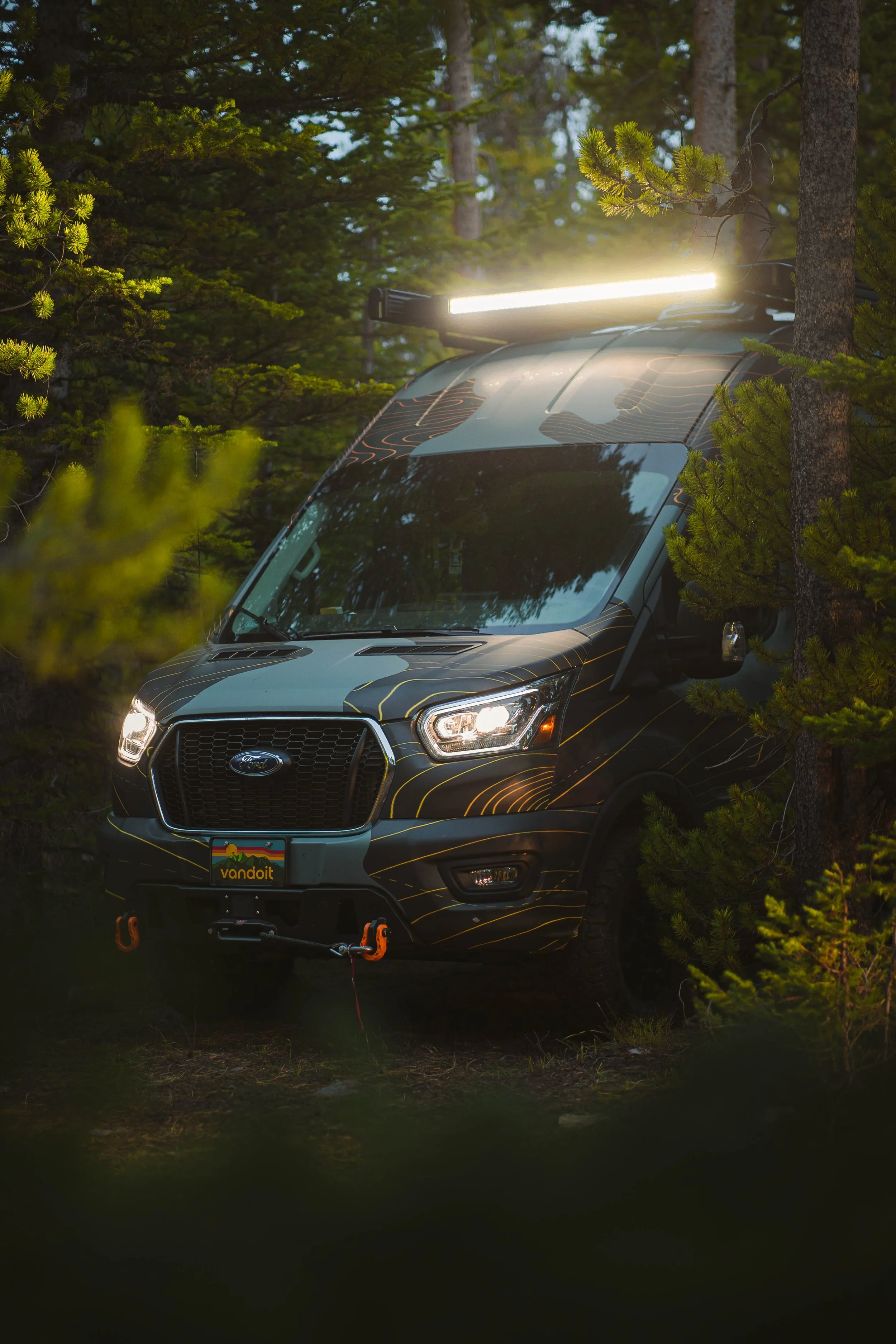 Forest (1 of 1)-6.JPG