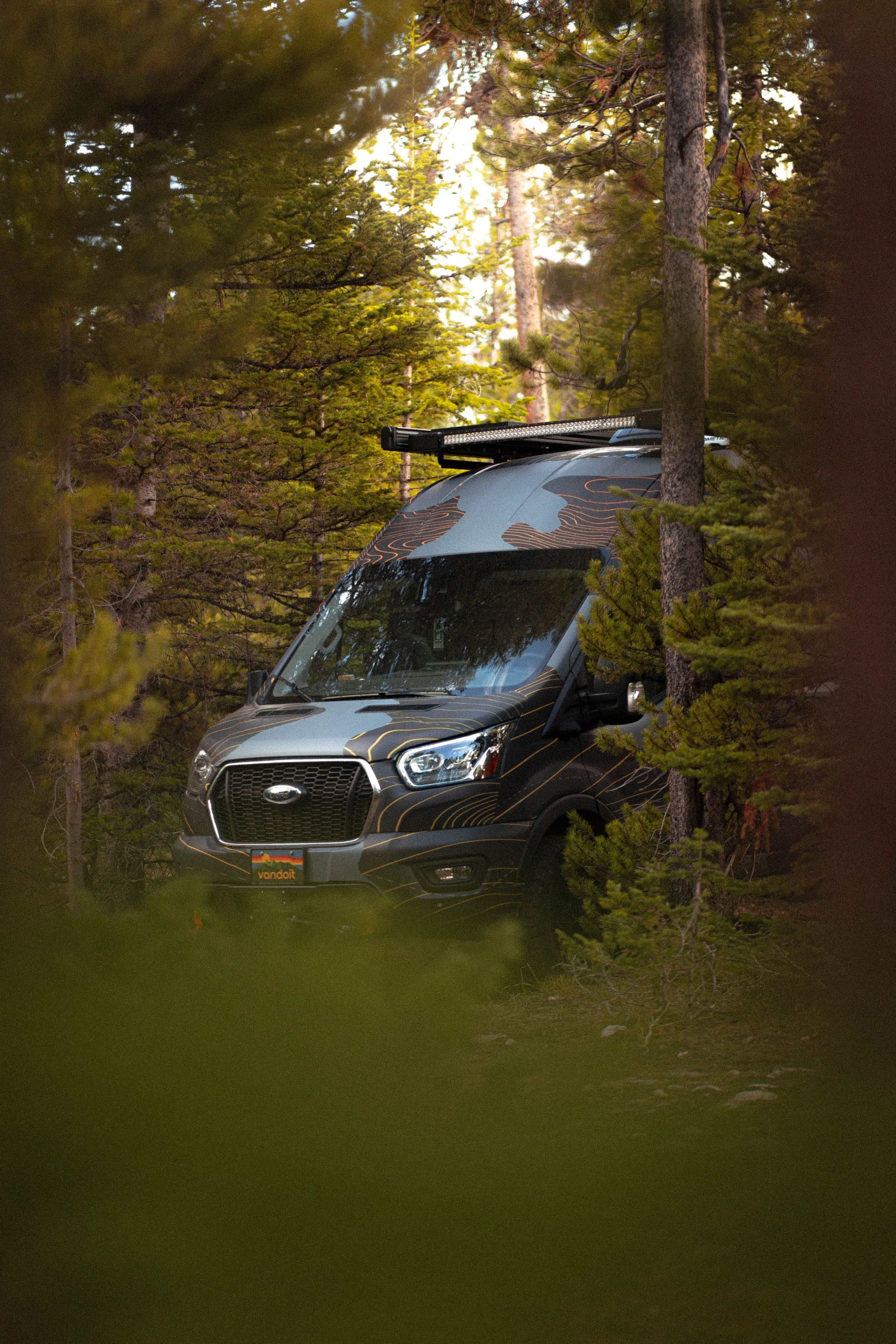 Vanintrees (1 of 1).JPG