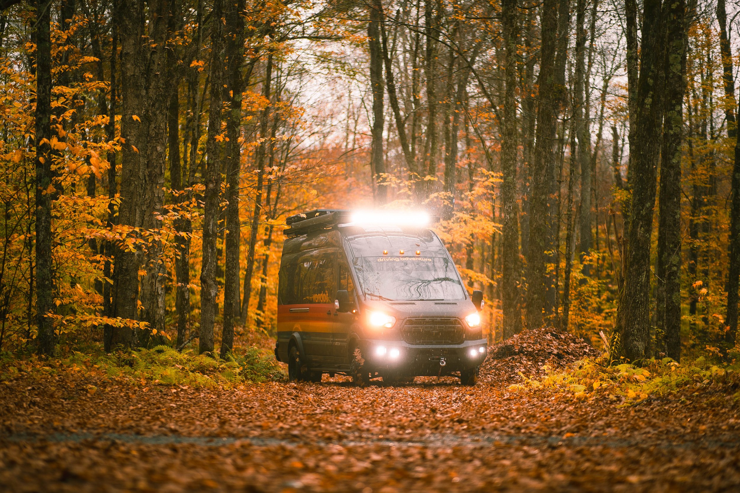 Fall (1 of 1)-2.JPEG