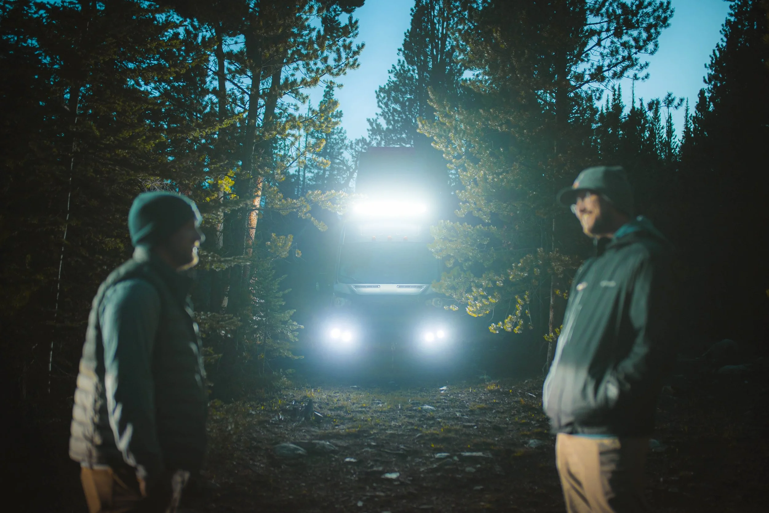 Forest (1 of 1)-9.JPG