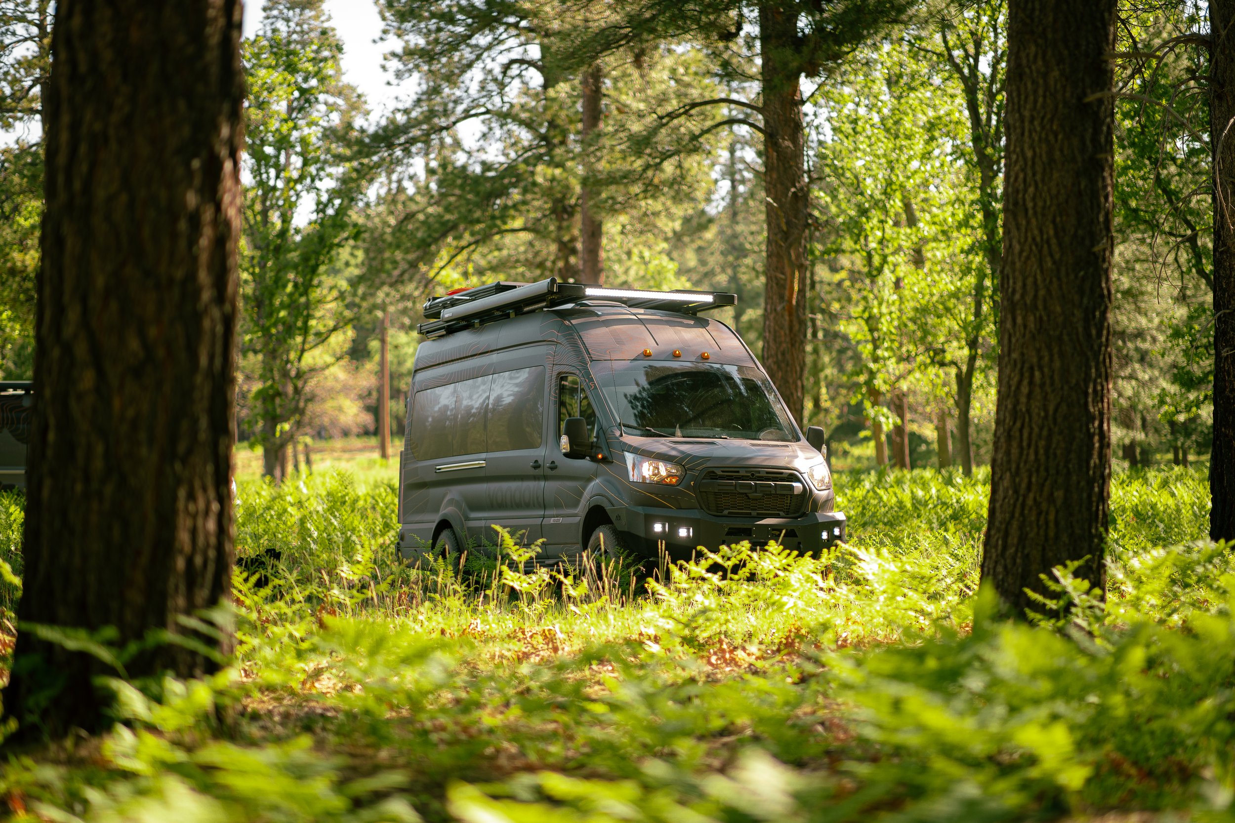 still (1 of 1)-5.JPG