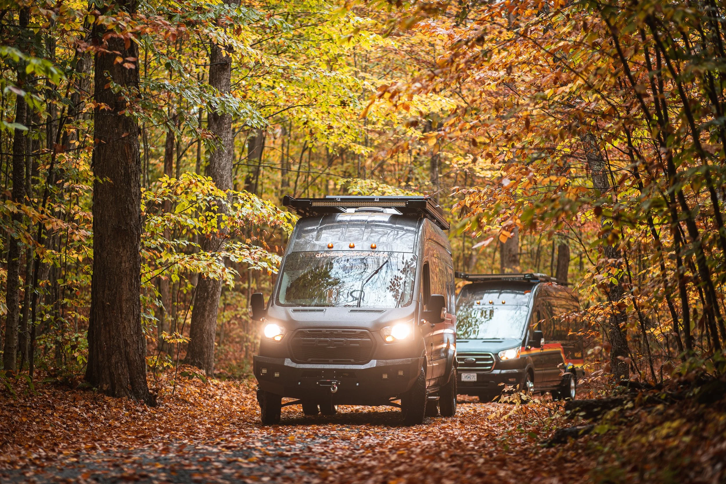 fallll (3 of 15).JPG