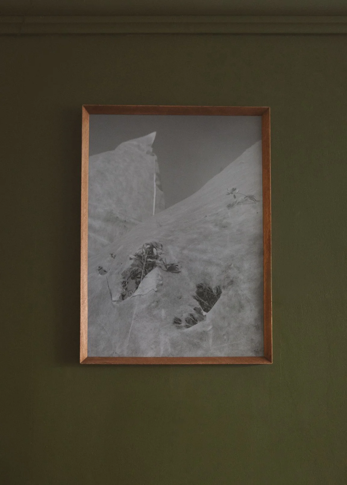 SpookyPlants_KatGreen__2806 copy.jpg