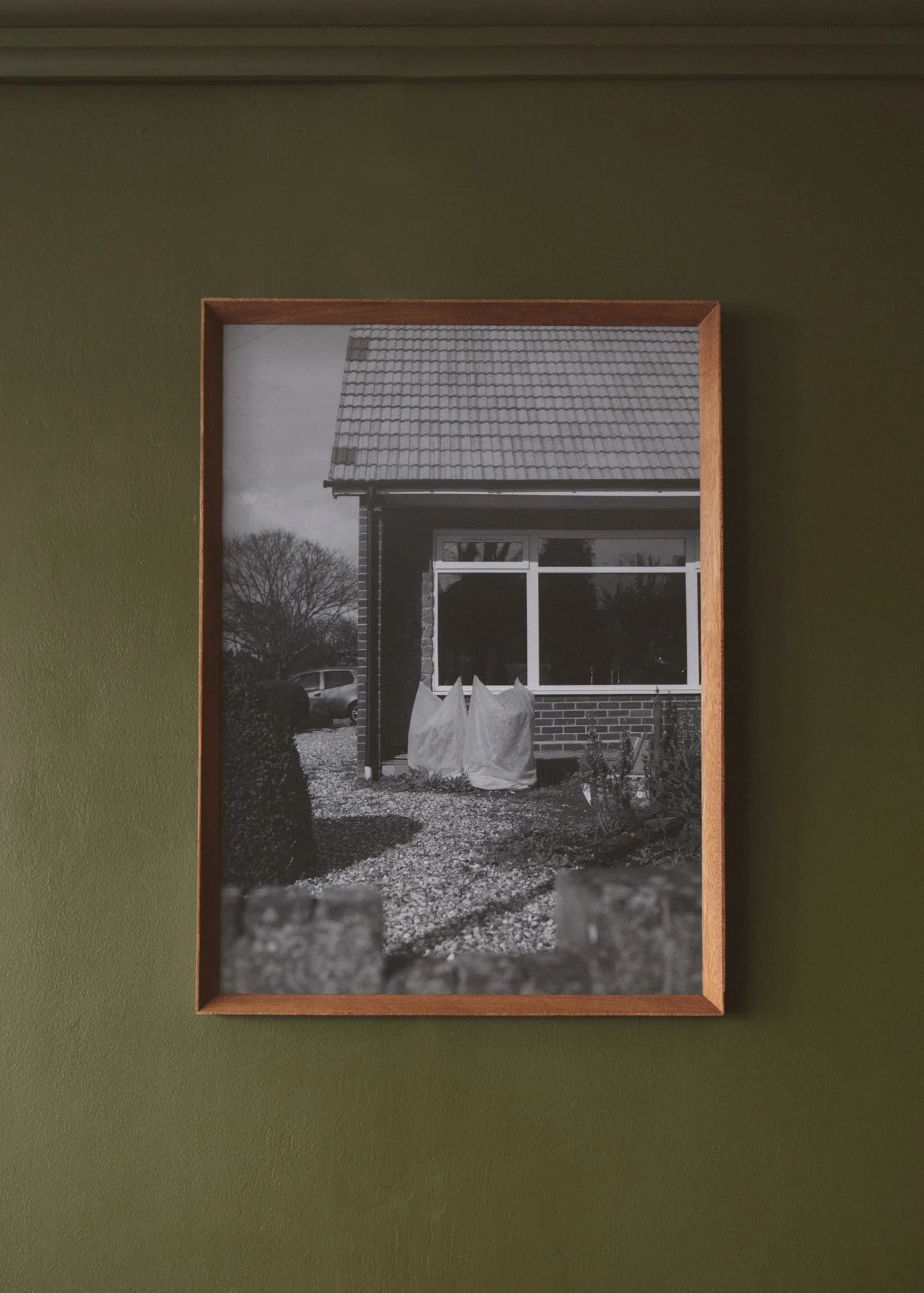 SpookyPlants_KatGreen__2801 copy.jpg