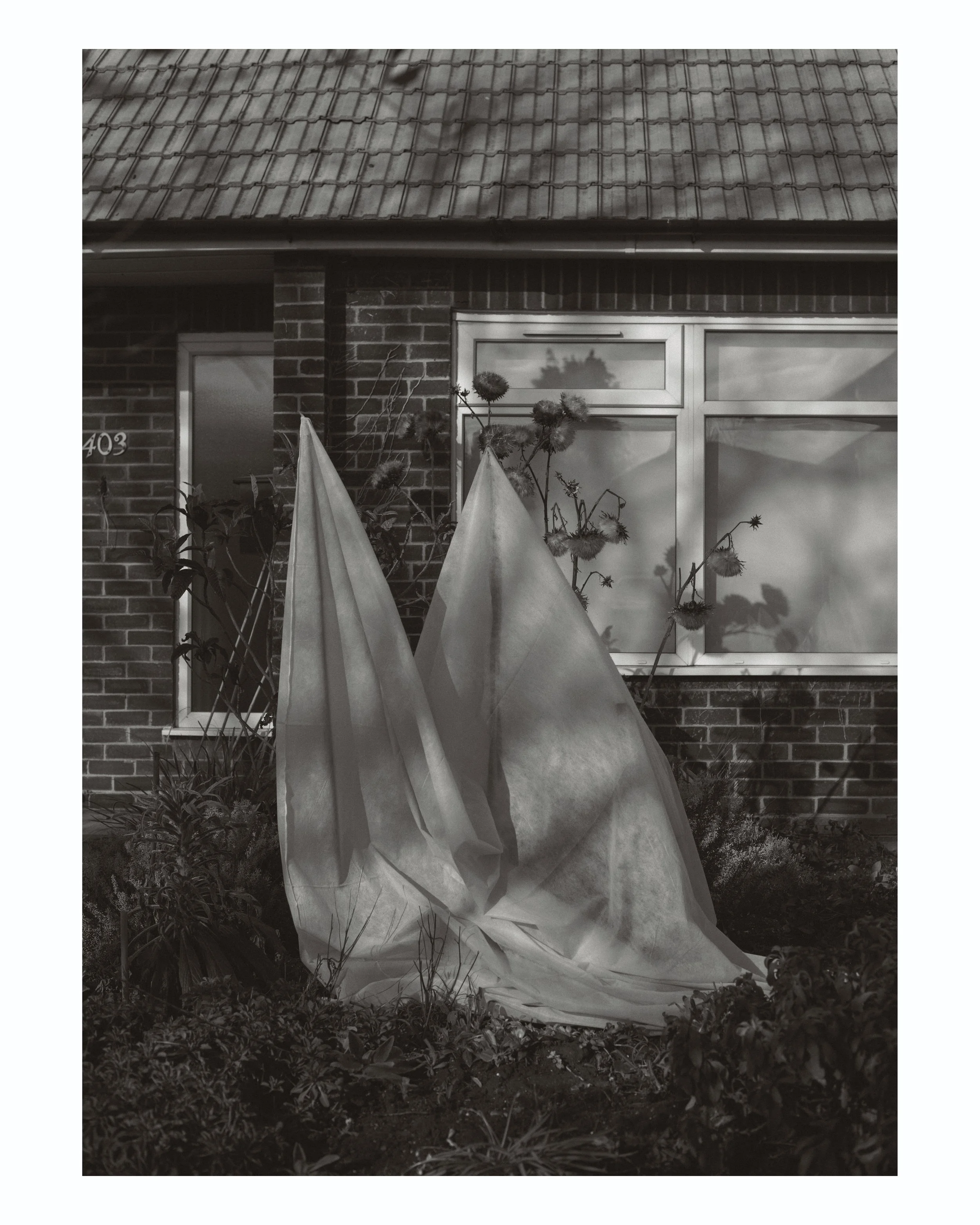 5thnov_5560 copy 2.jpg