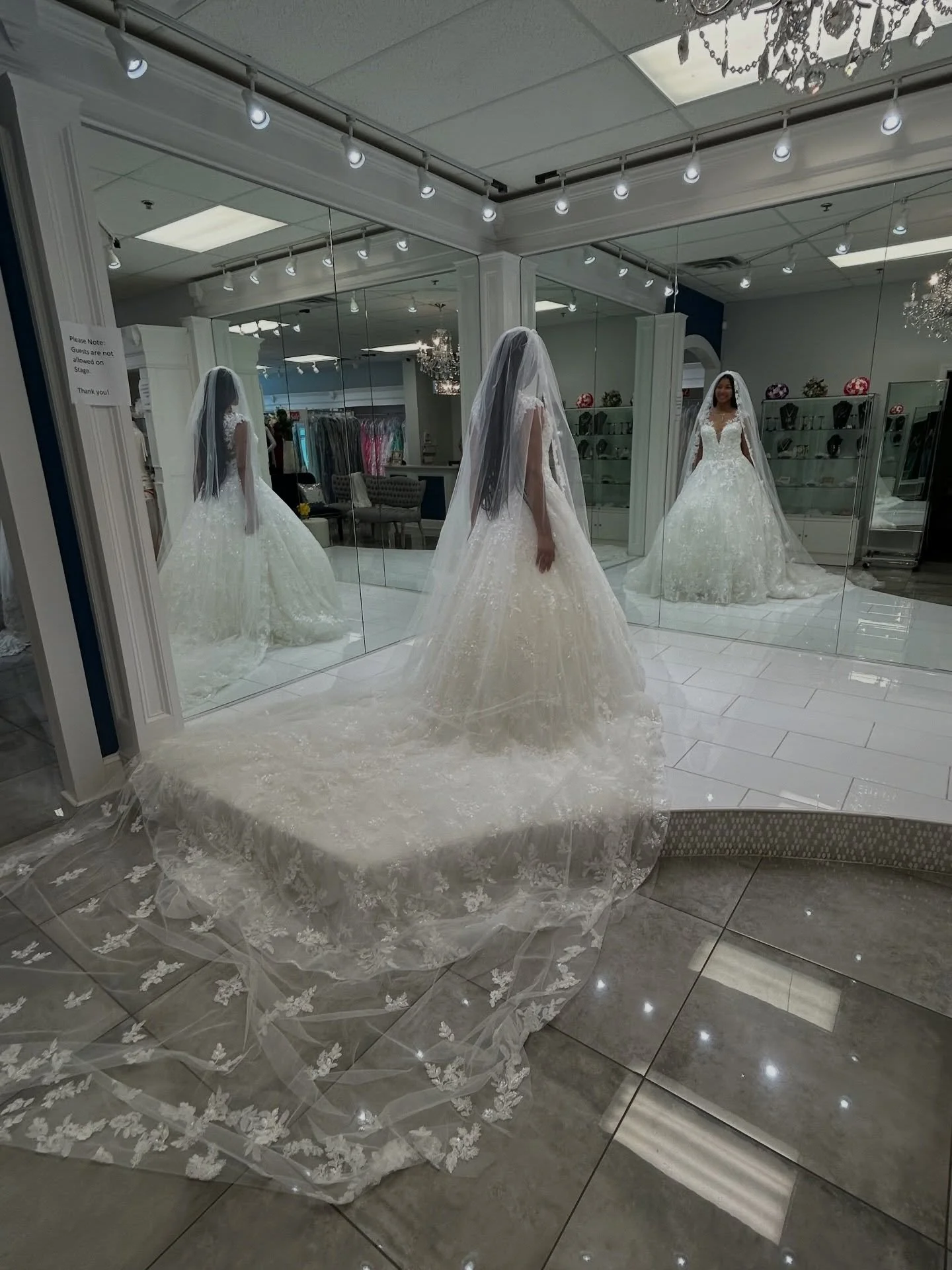 From beaded lace to that gorgeous royal length veil, this ball gown is an absolute dream 🤍✨ Perfect for the bride who wants glitz and glam! 
.
.
.
#nataliesbridalsbybb #weddingdress #bride #ballgown #bridalboutique