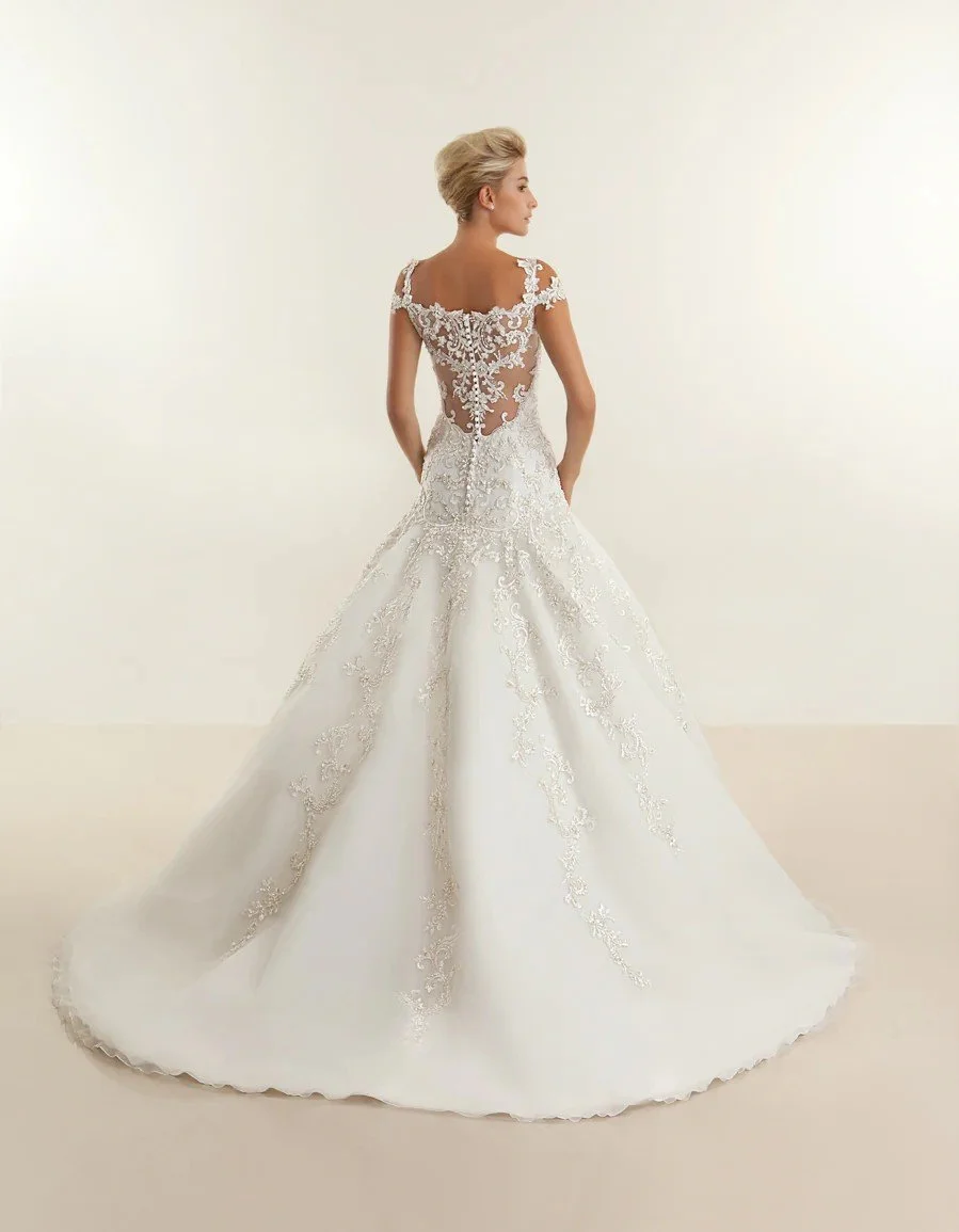 Demetrios DP298 Back.jpg