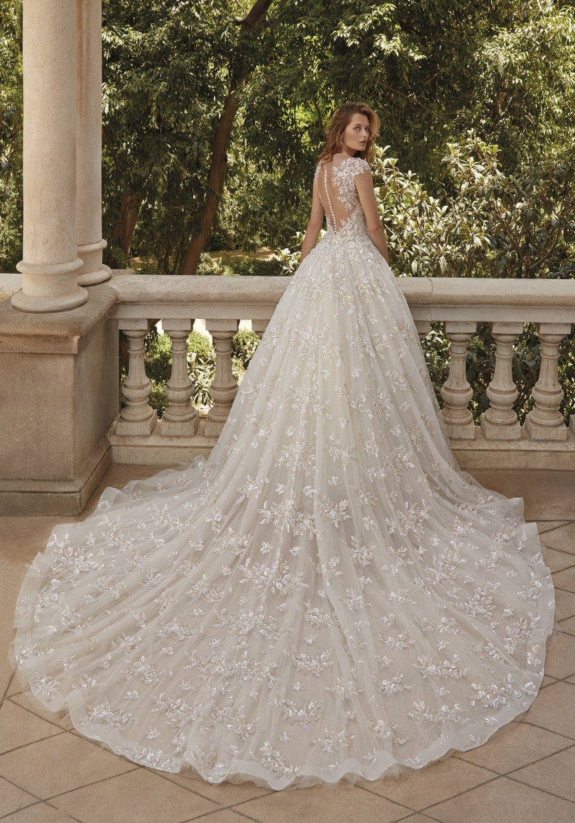 Demetrios DP460 Back.jpg