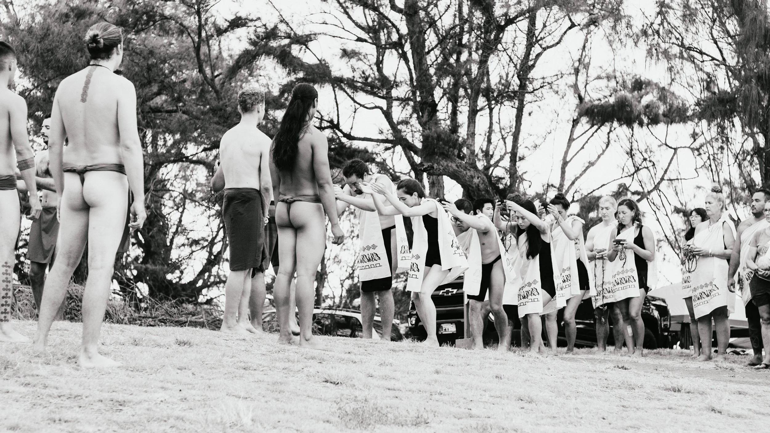 Waihe'e -6253.jpg