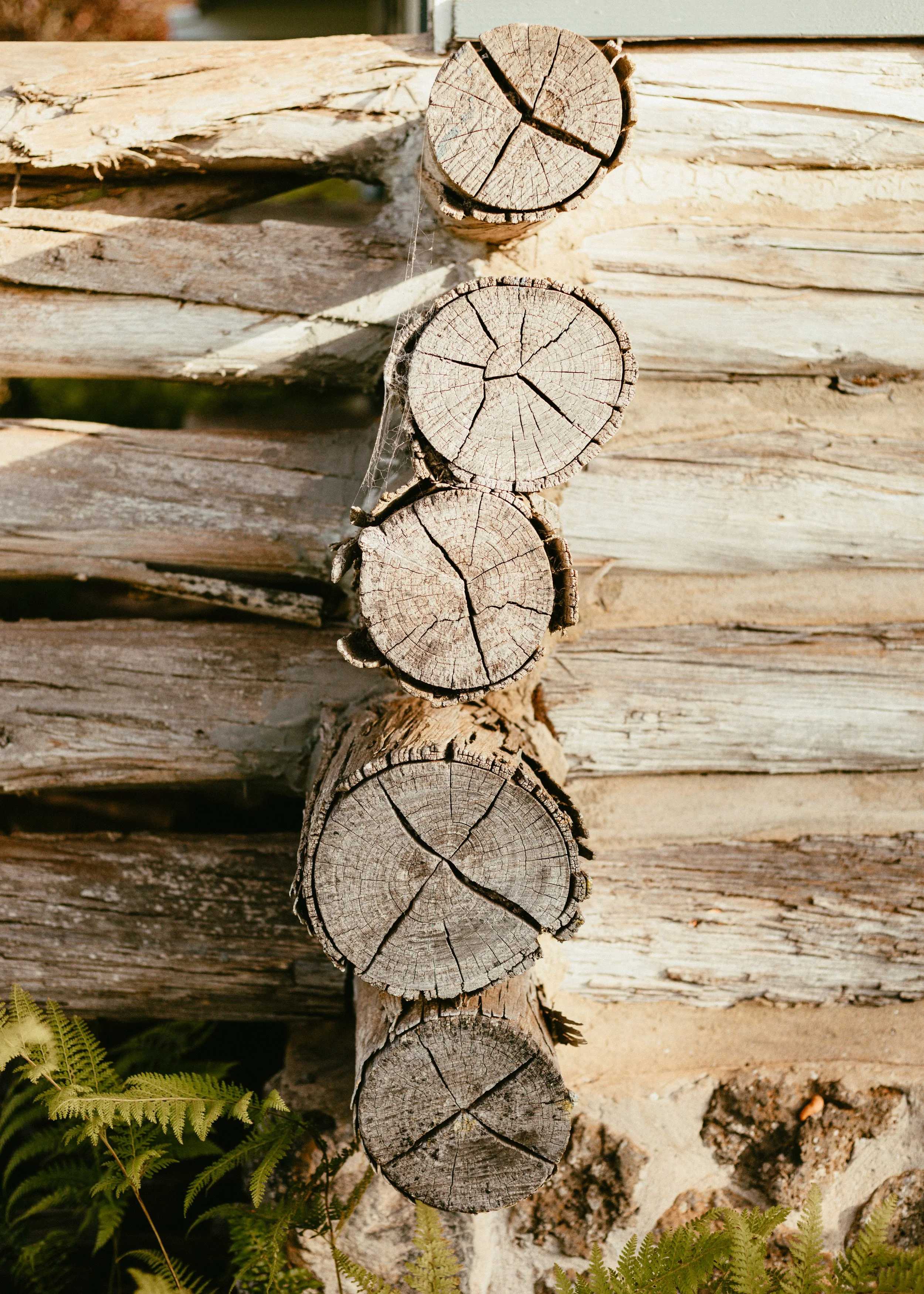 Malumanu Cabin-1025.jpg