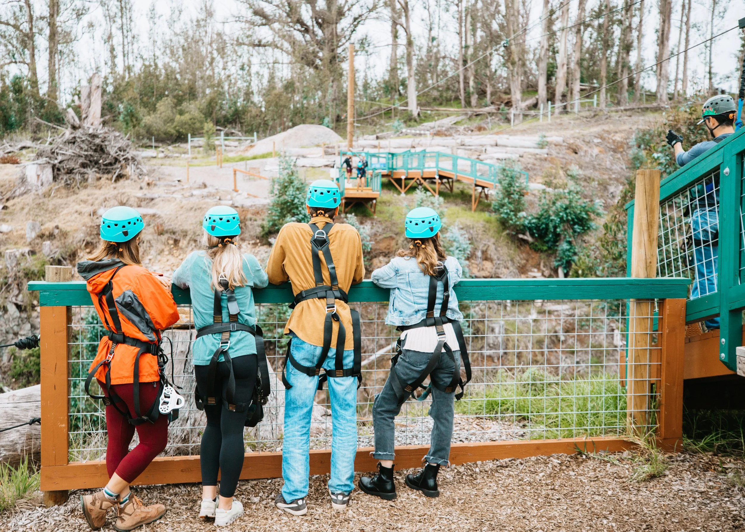 Skyline Hawaii-2255.jpg