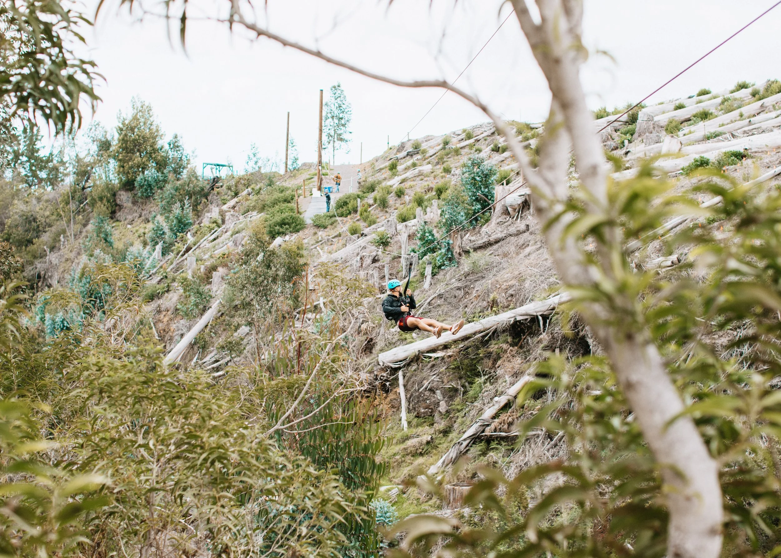 Skyline Hawaii-2391.jpg