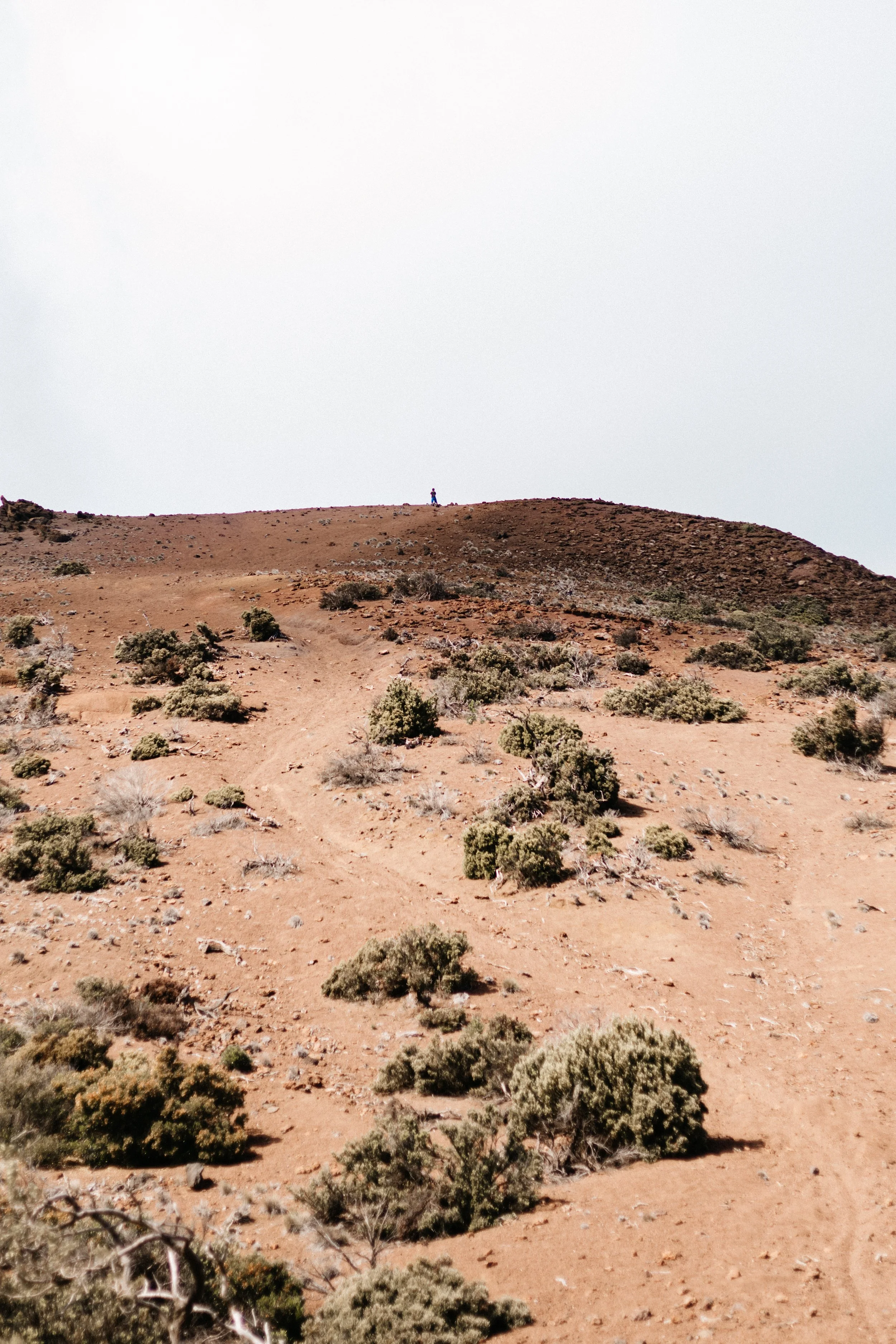 Skyline Bike-5095.jpg