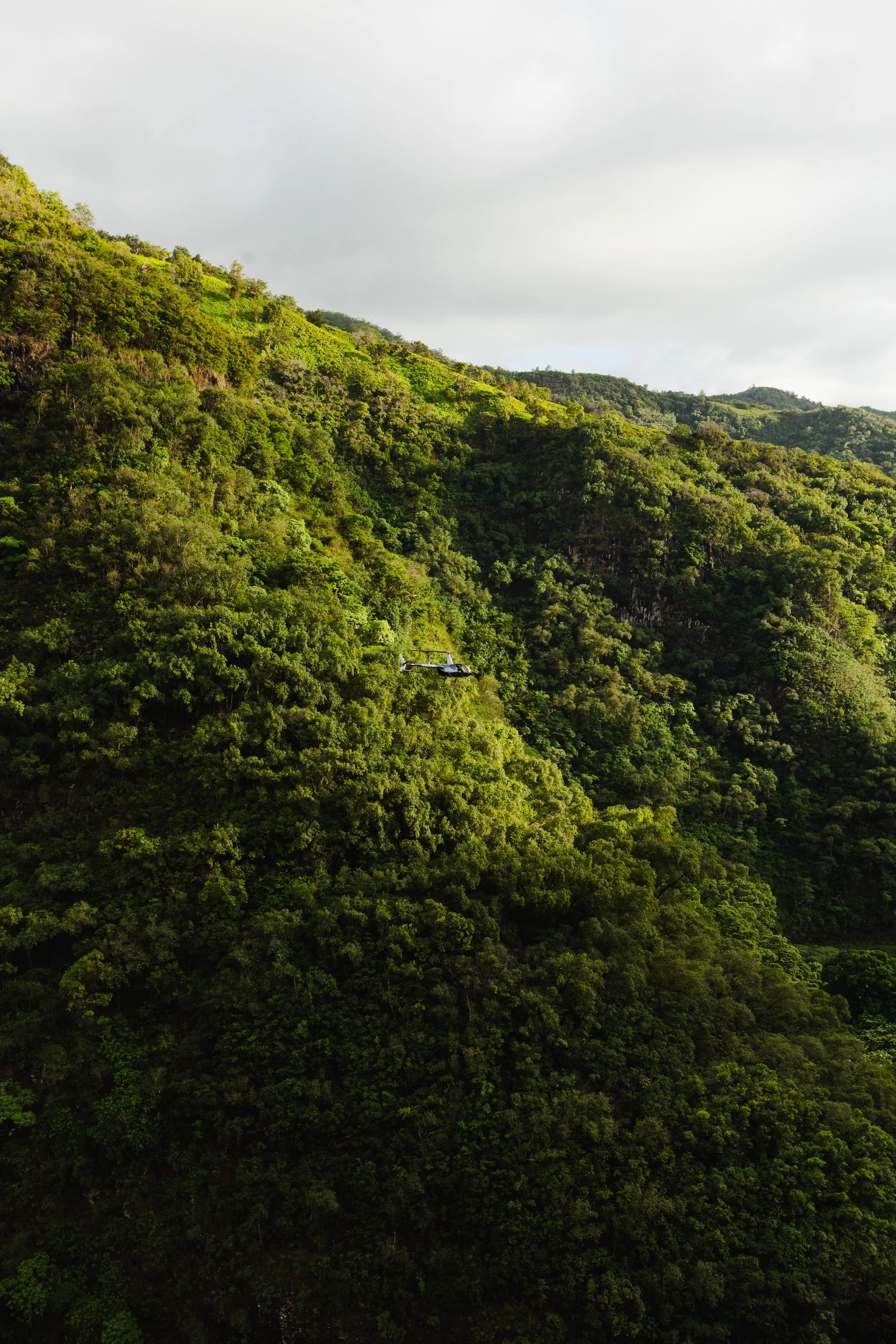 airkauai-7547.jpg