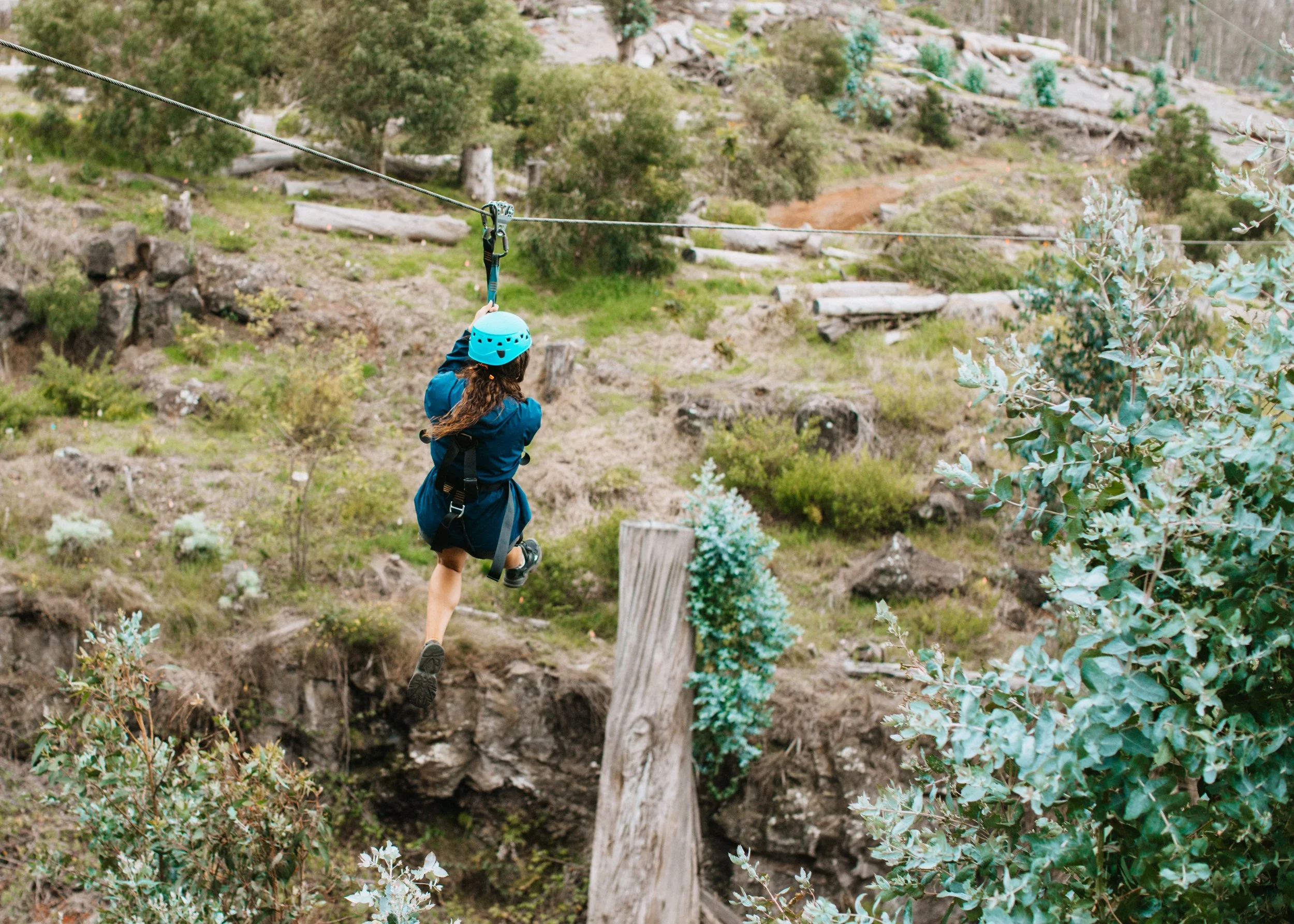 Skyline Hawaii-1996.jpg
