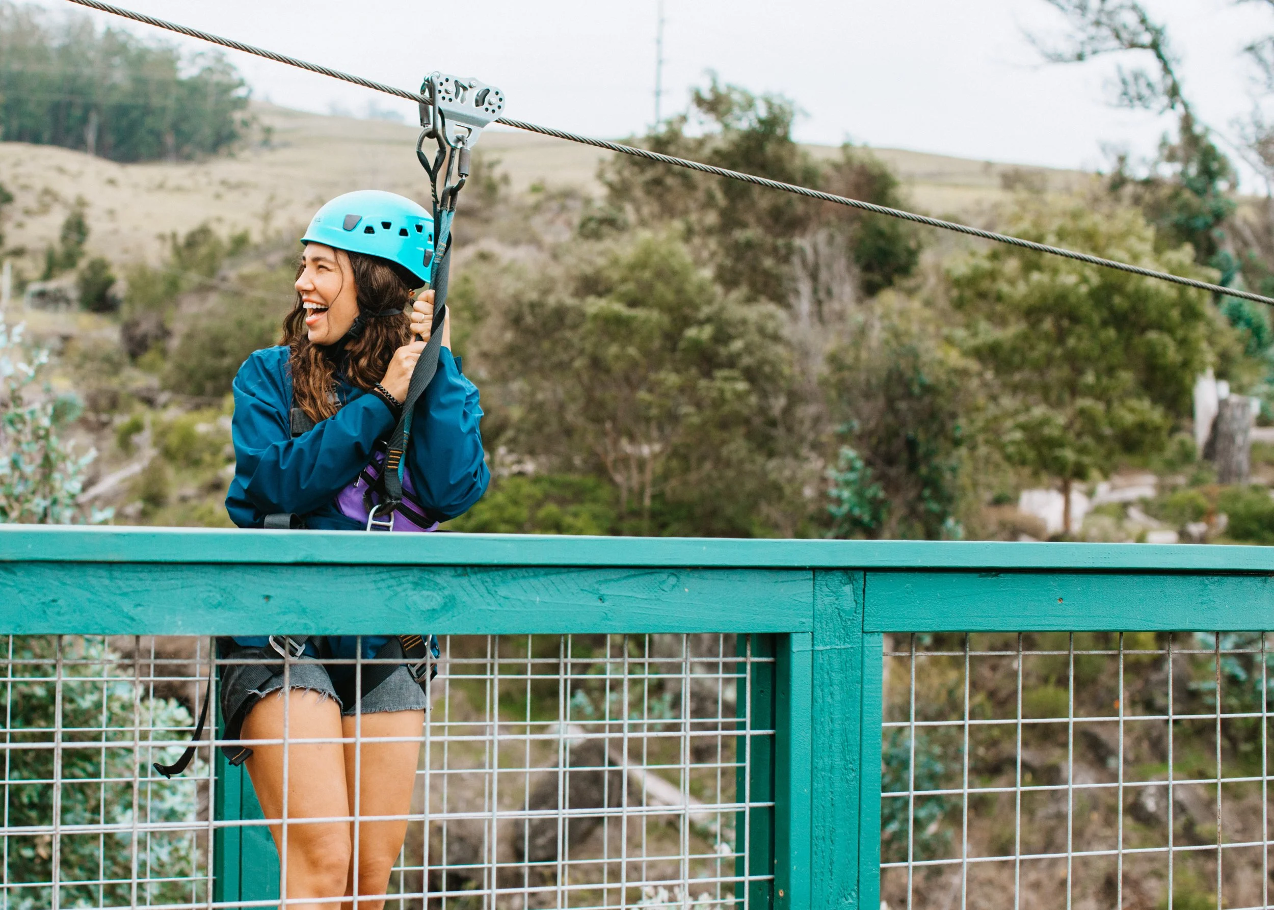 Skyline Hawaii-1981.jpg