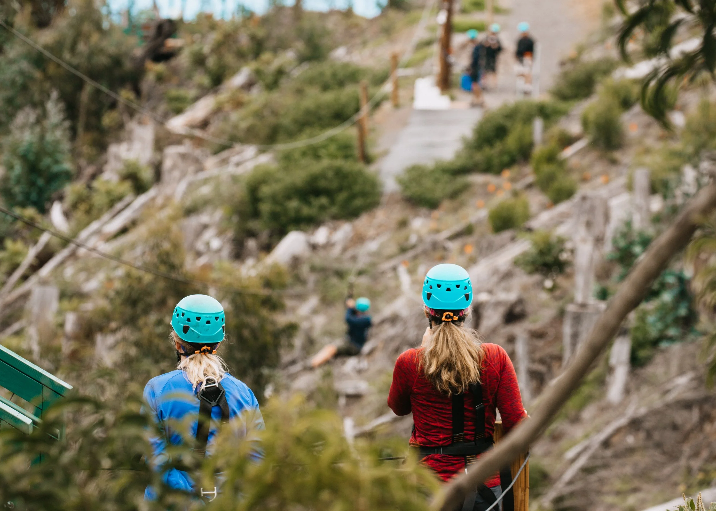 Skyline Hawaii-1727.jpg