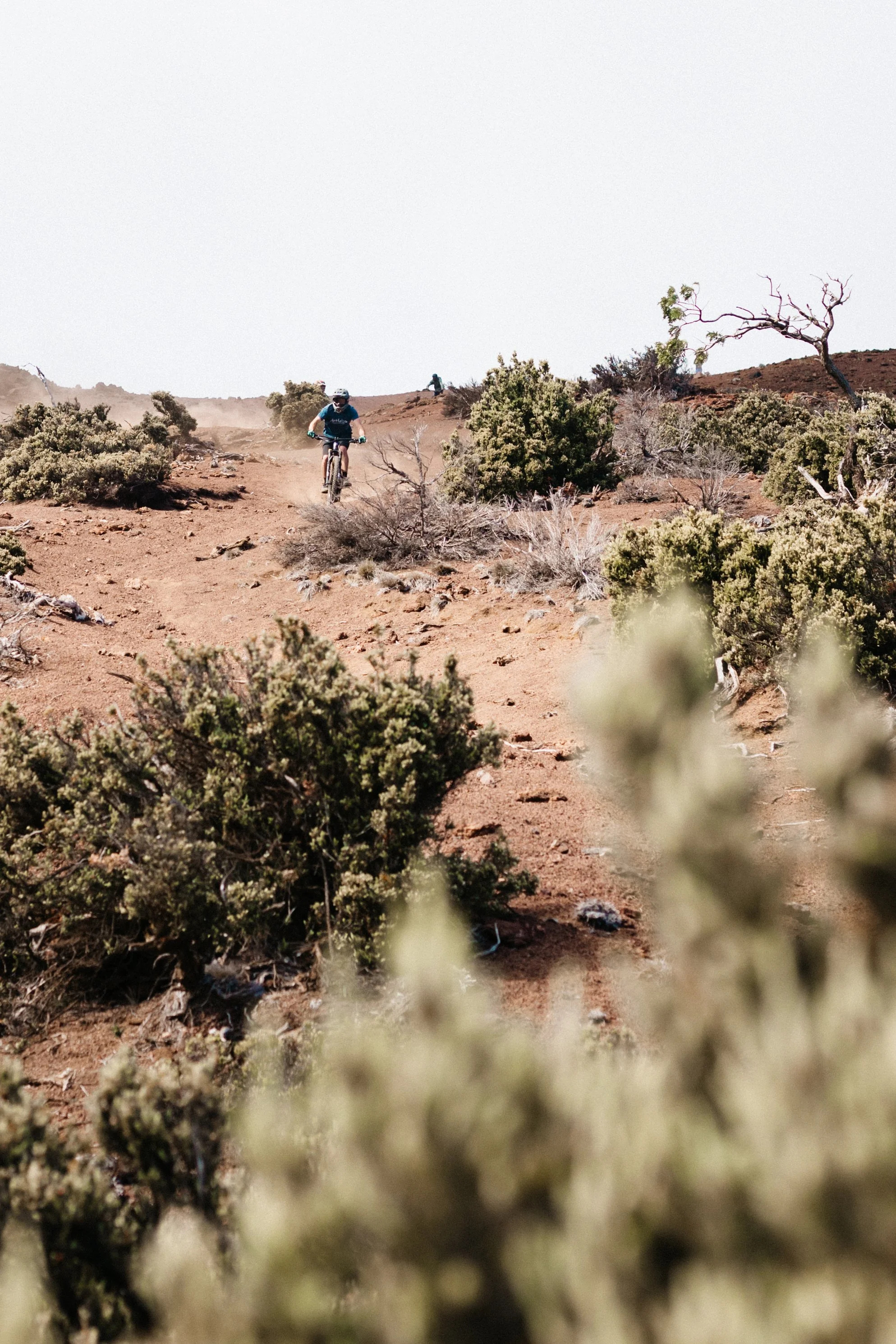 Skyline Bike-5108.jpg