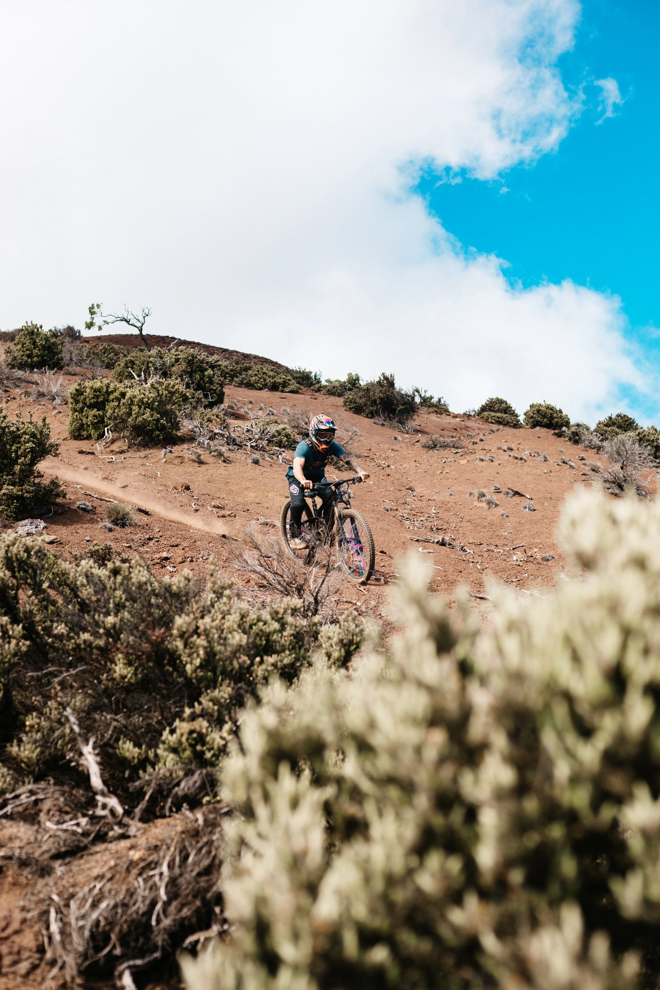 Skyline Bike-5129.jpg