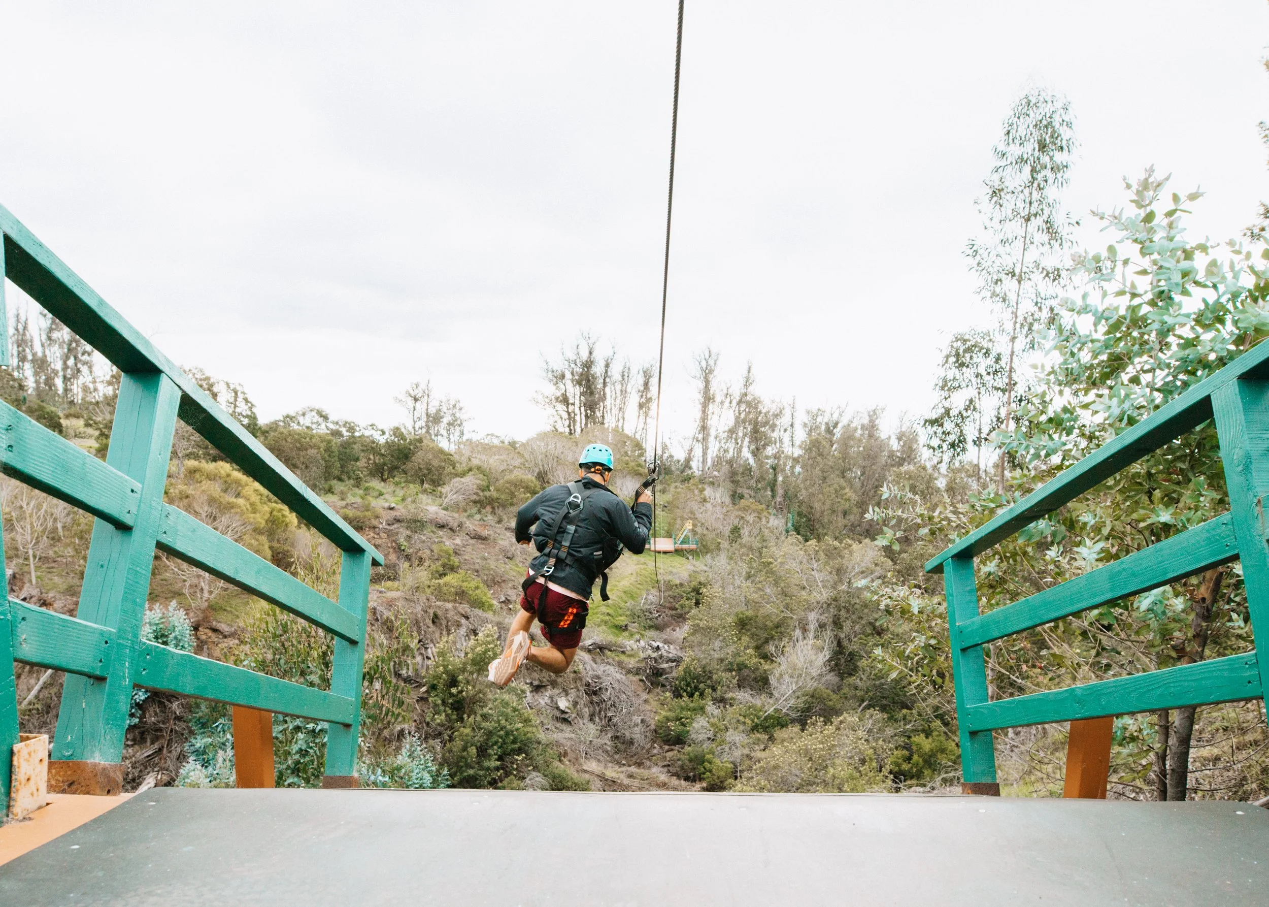 Skyline Hawaii-2638.jpg