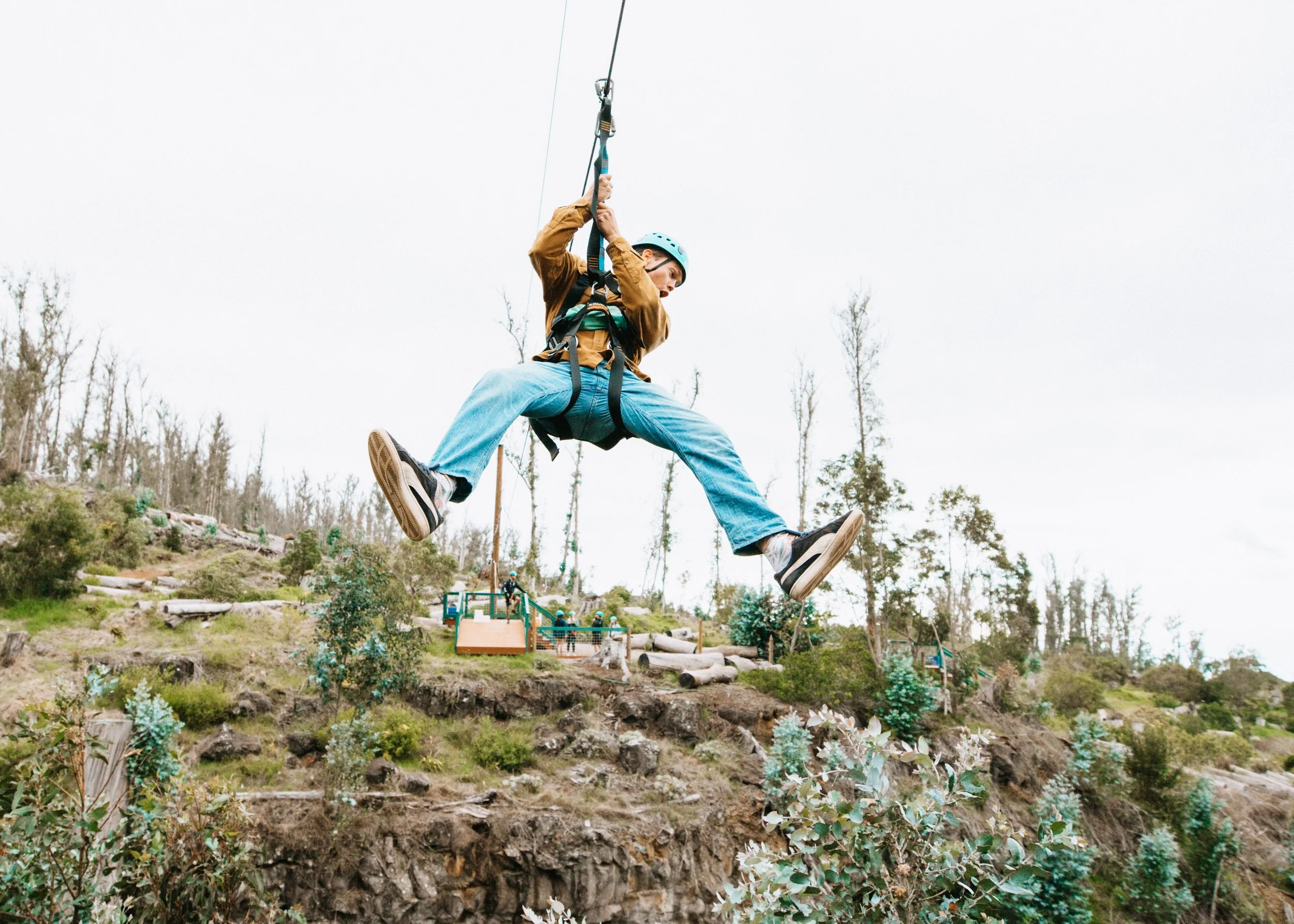 Skyline Hawaii-2014.jpg