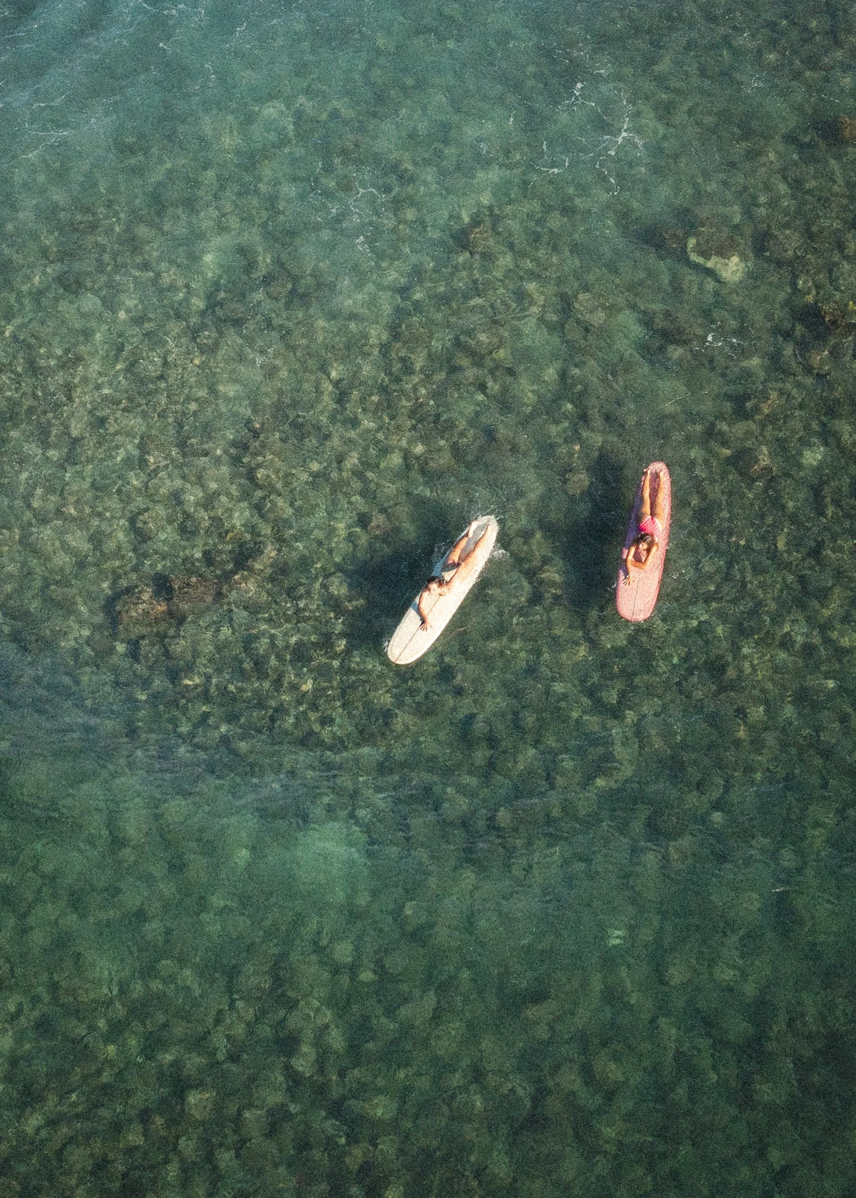 DJI_0830.jpg