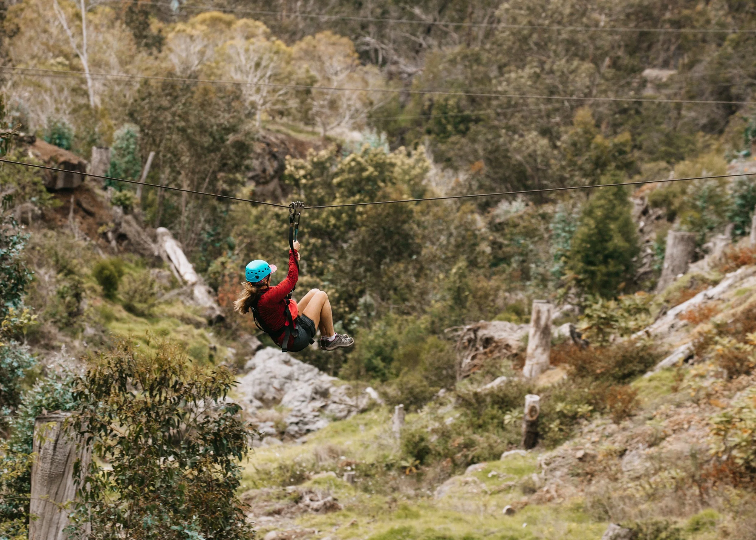Skyline Hawaii-1570.jpg