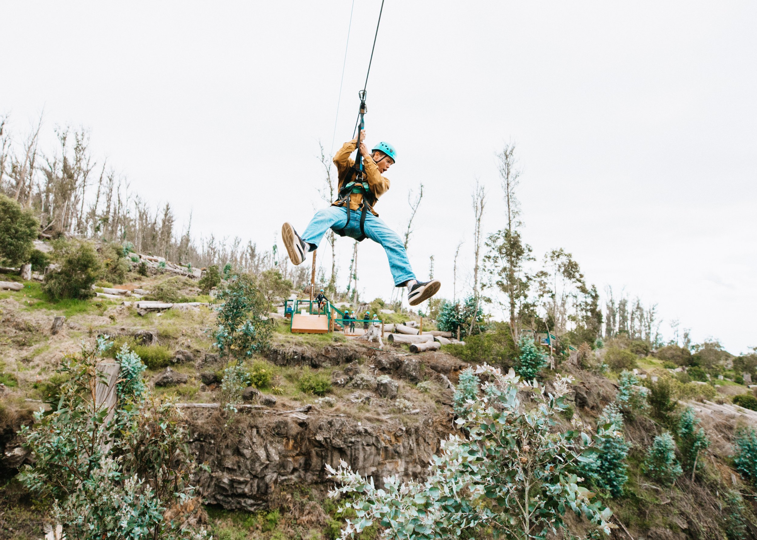 Skyline Hawaii-2016.jpg