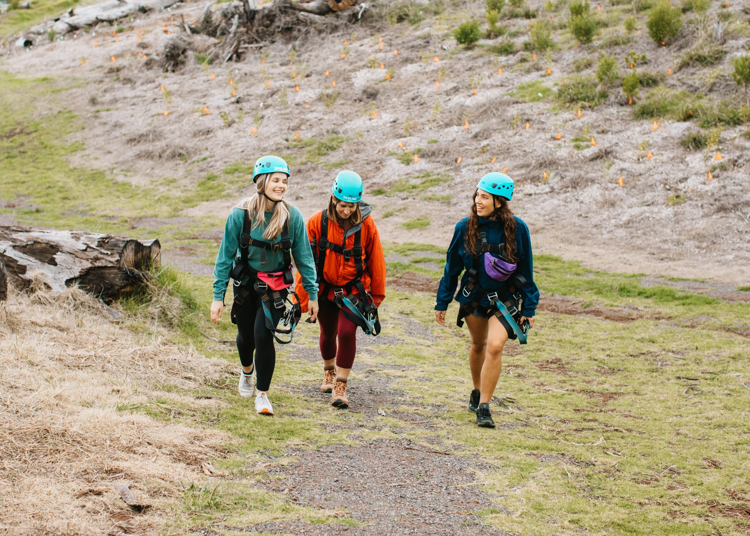 Skyline Hawaii-2186.jpg