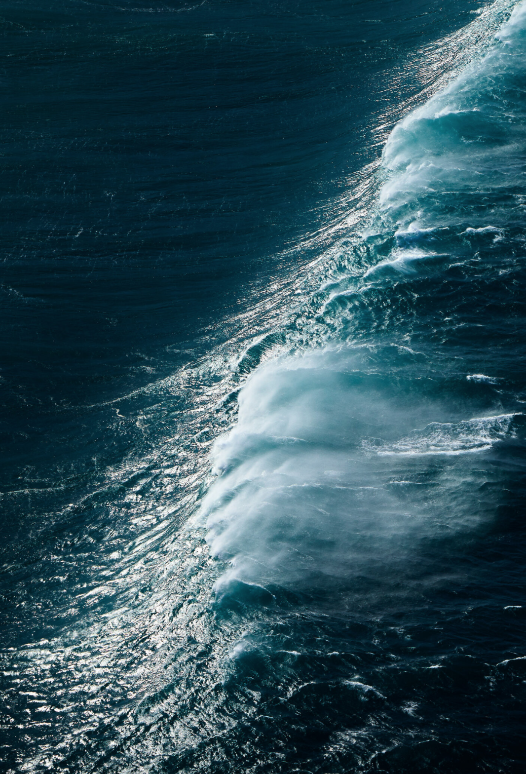 Screen Shot 2021-05-24 at 2.51.22 PM.png