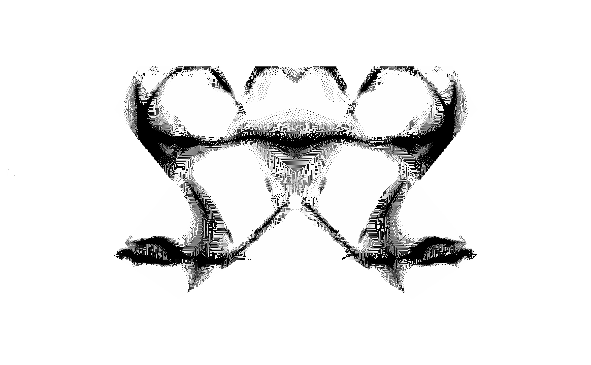 4.gif