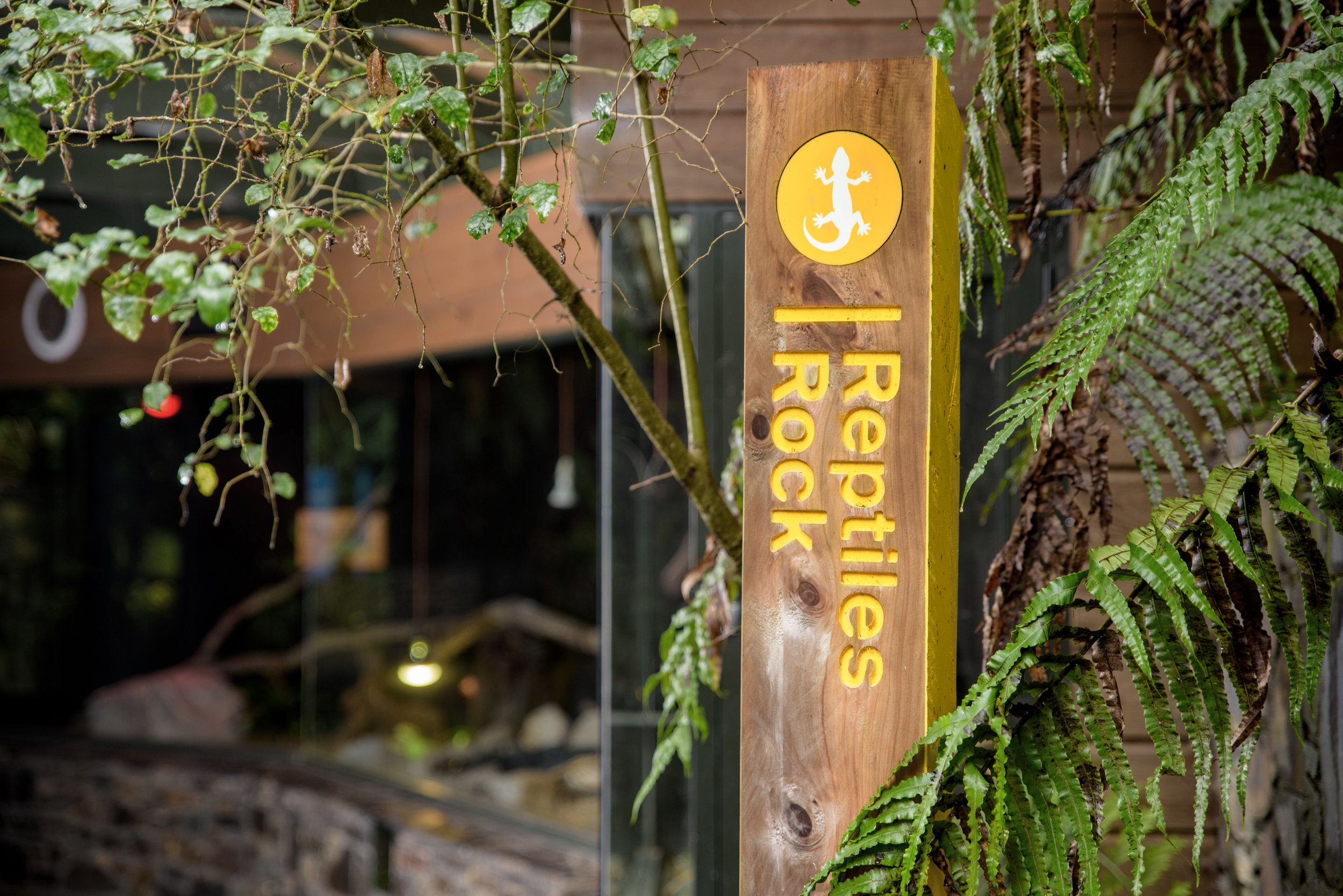 Rainbow Springs Nature Park - 9165 - Large.jpg